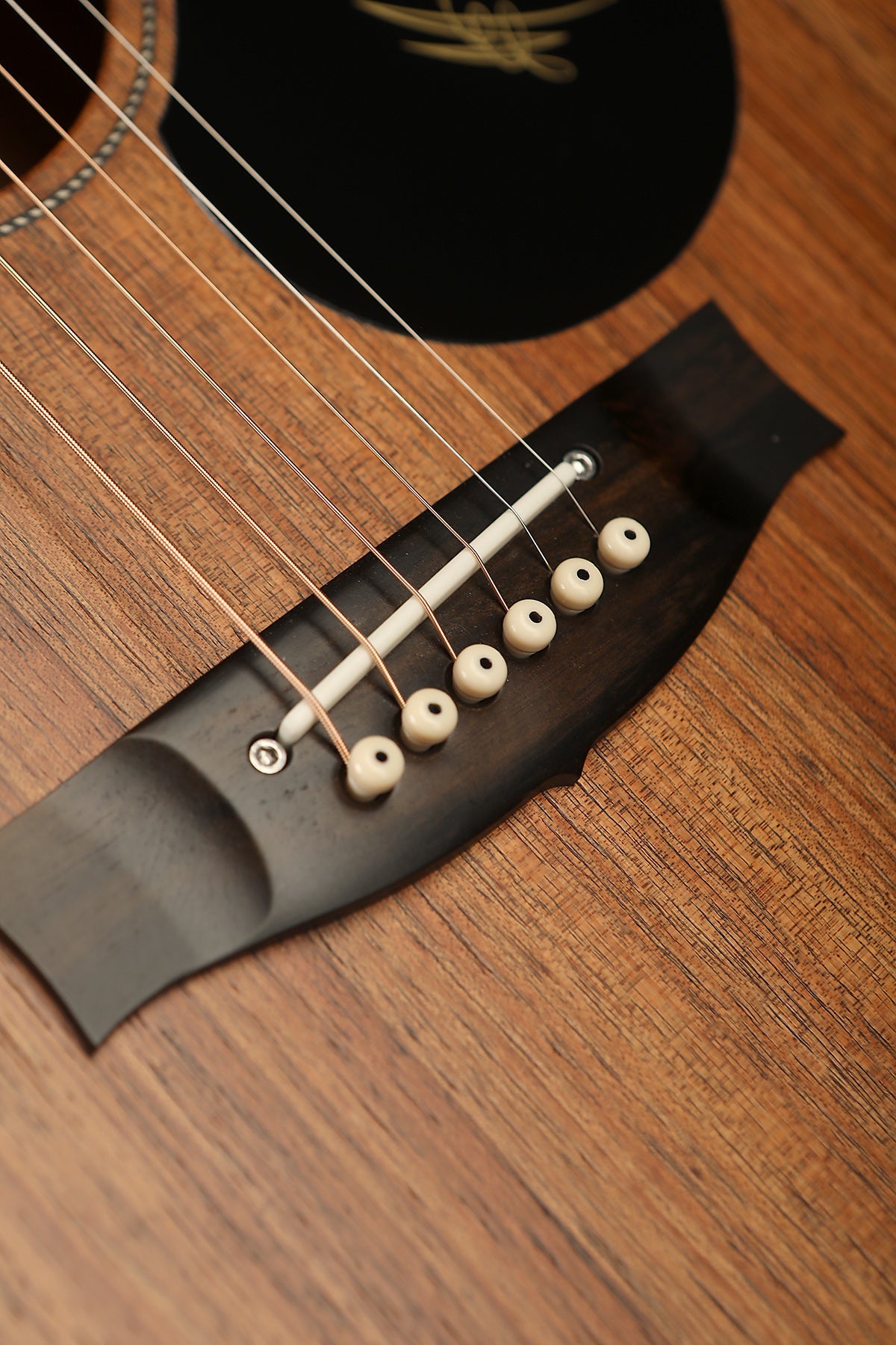 Maton EBW808C Blackwood Acoustic Electric Guitar - Acoustic Centre Music Store, Melbourne Australia