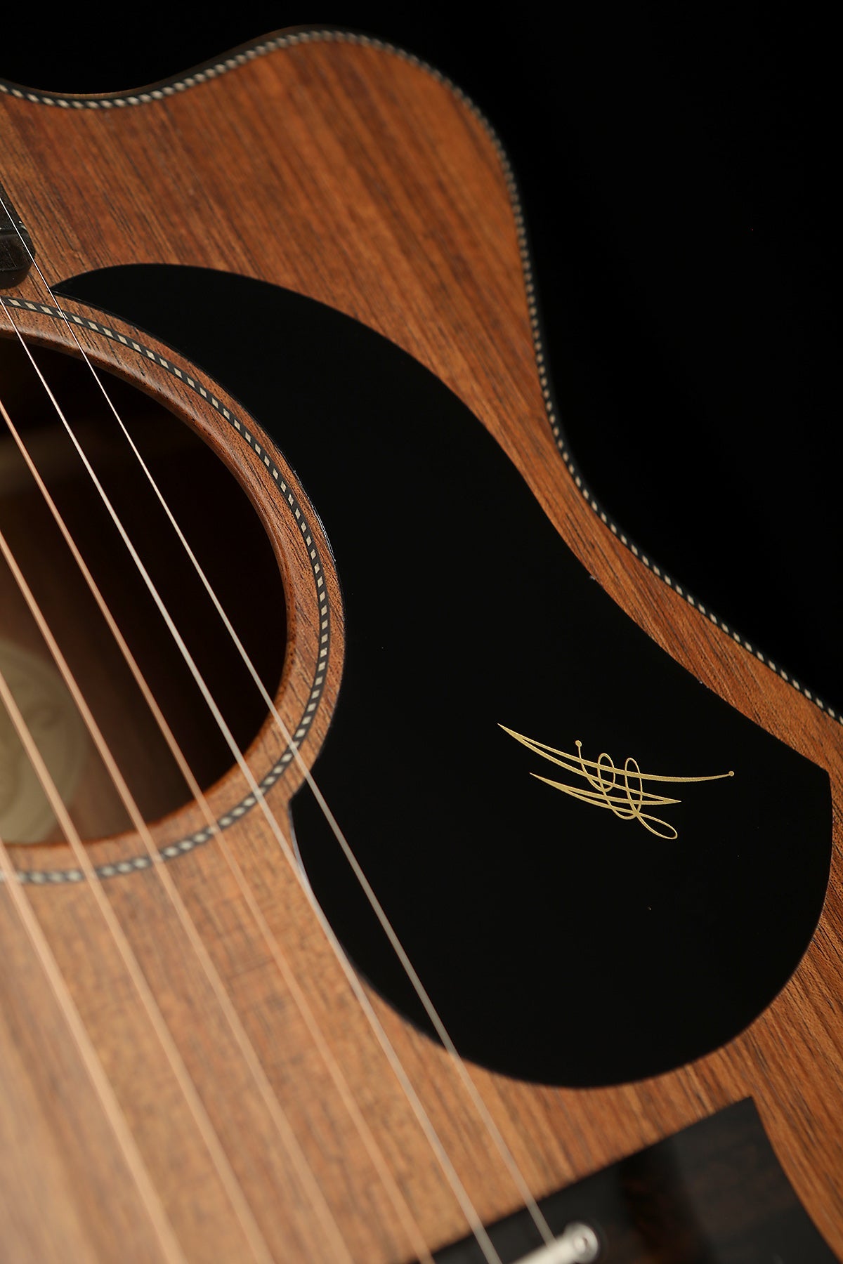 Maton EBW808C Blackwood Acoustic Electric Guitar - Acoustic Centre Music Store, Melbourne Australia