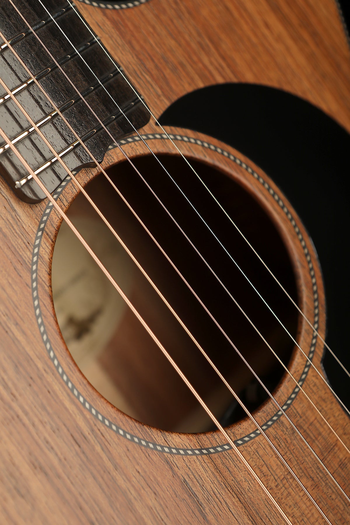 Maton EBW808C Blackwood Acoustic Electric Guitar - Acoustic Centre Music Store, Melbourne Australia