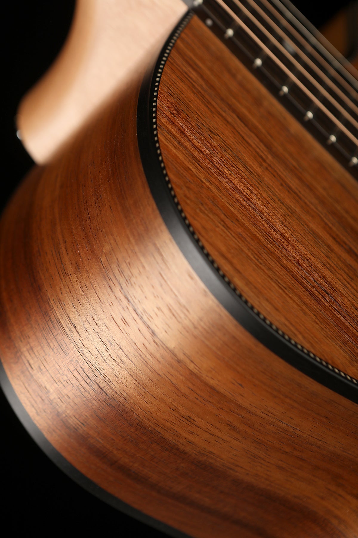 Maton EBW808C Blackwood Acoustic Electric Guitar - Acoustic Centre Music Store, Melbourne Australia