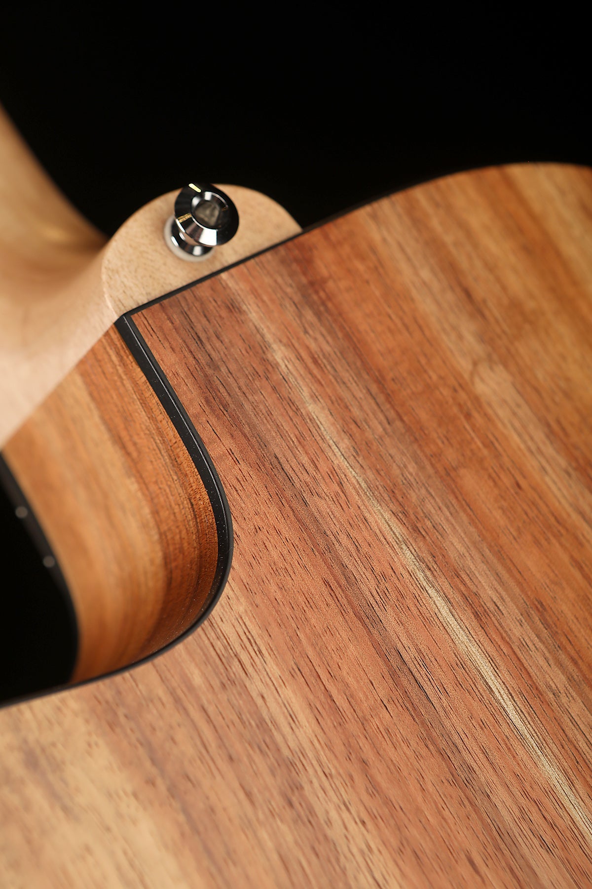 Maton EBW808C Blackwood Acoustic Electric Guitar - Acoustic Centre Music Store, Melbourne Australia