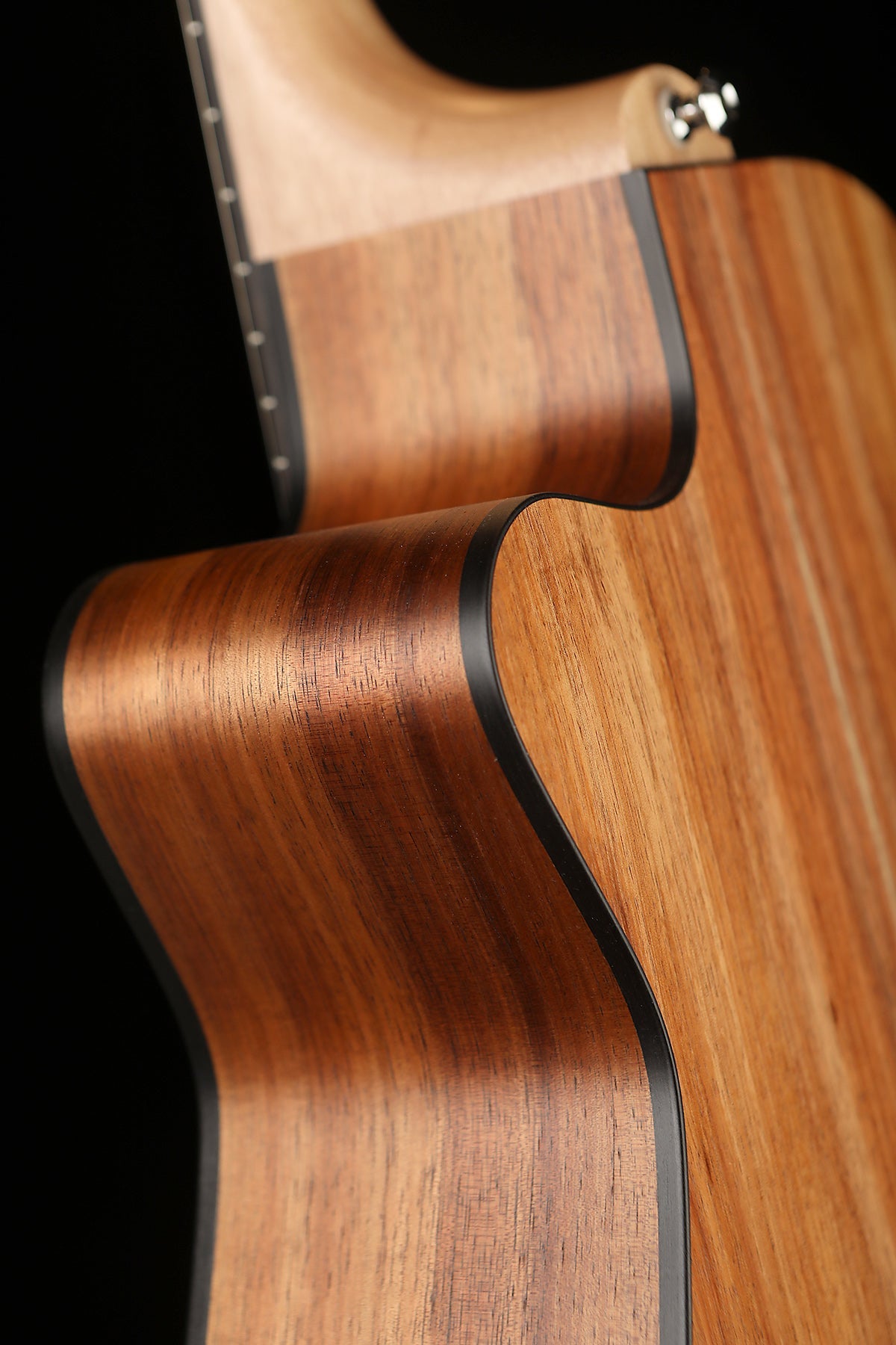 Maton EBW808C Blackwood Acoustic Electric Guitar - Acoustic Centre Music Store, Melbourne Australia