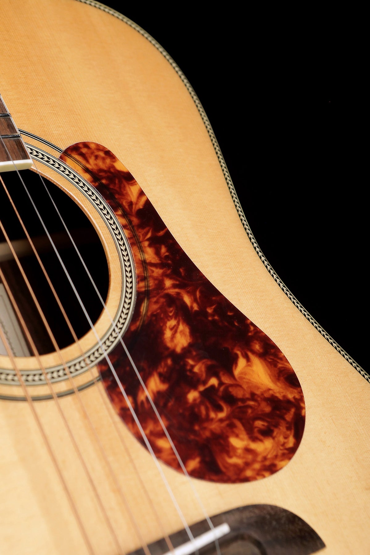 Alvarez MD70BG Acoustic Guitar - Acoustic Centre Music Store, Melbourne Australia