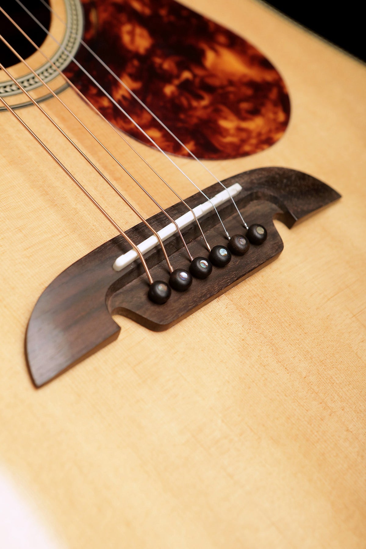 Alvarez MD70BG Acoustic Guitar - Acoustic Centre Music Store, Melbourne Australia