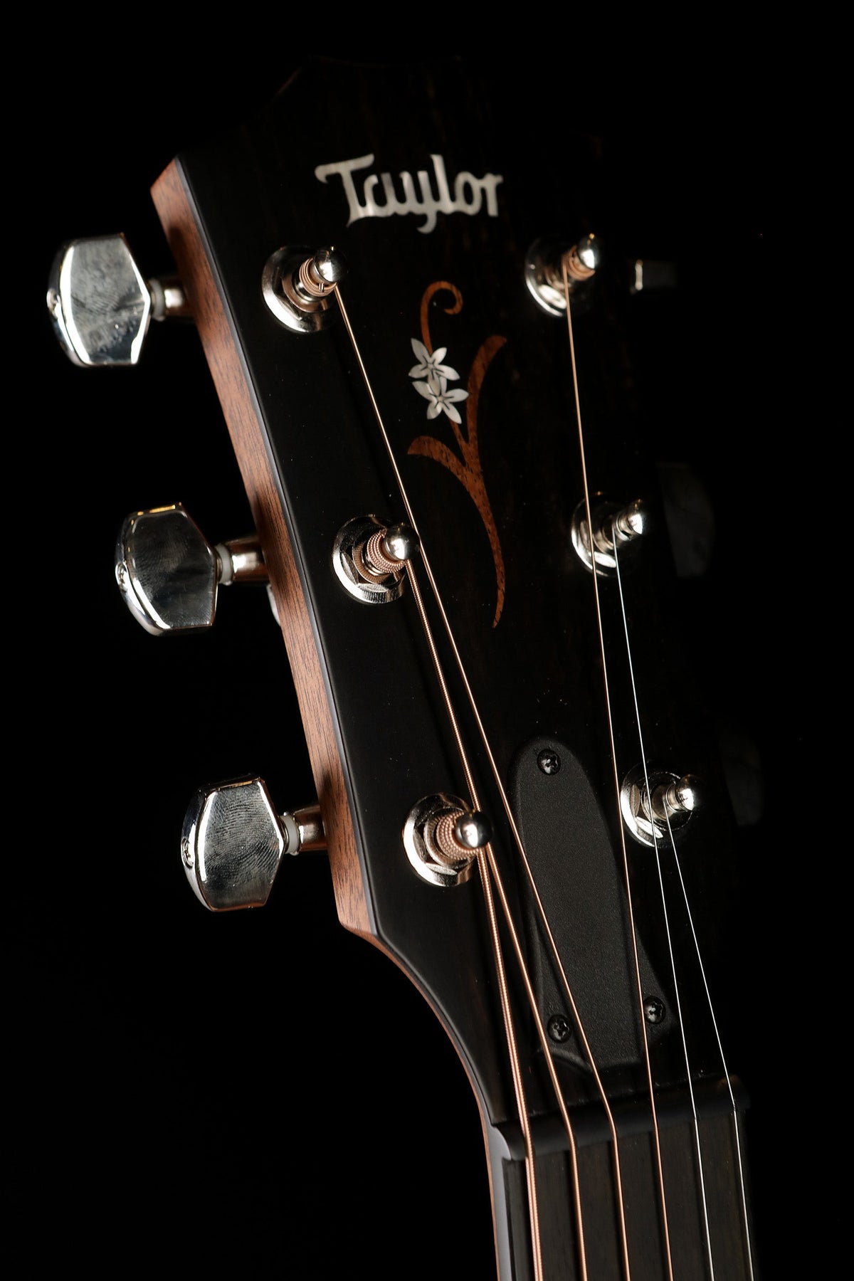 Taylor 314ce AC-LTD &#39;Acoustic Centre 30th Anniversary&#39; Sitka Spruce / Australian Blackwood &#39;1 of 10&#39; Acoustic Electric Guitar - Acoustic Centre Music Store, Melbourne Australia