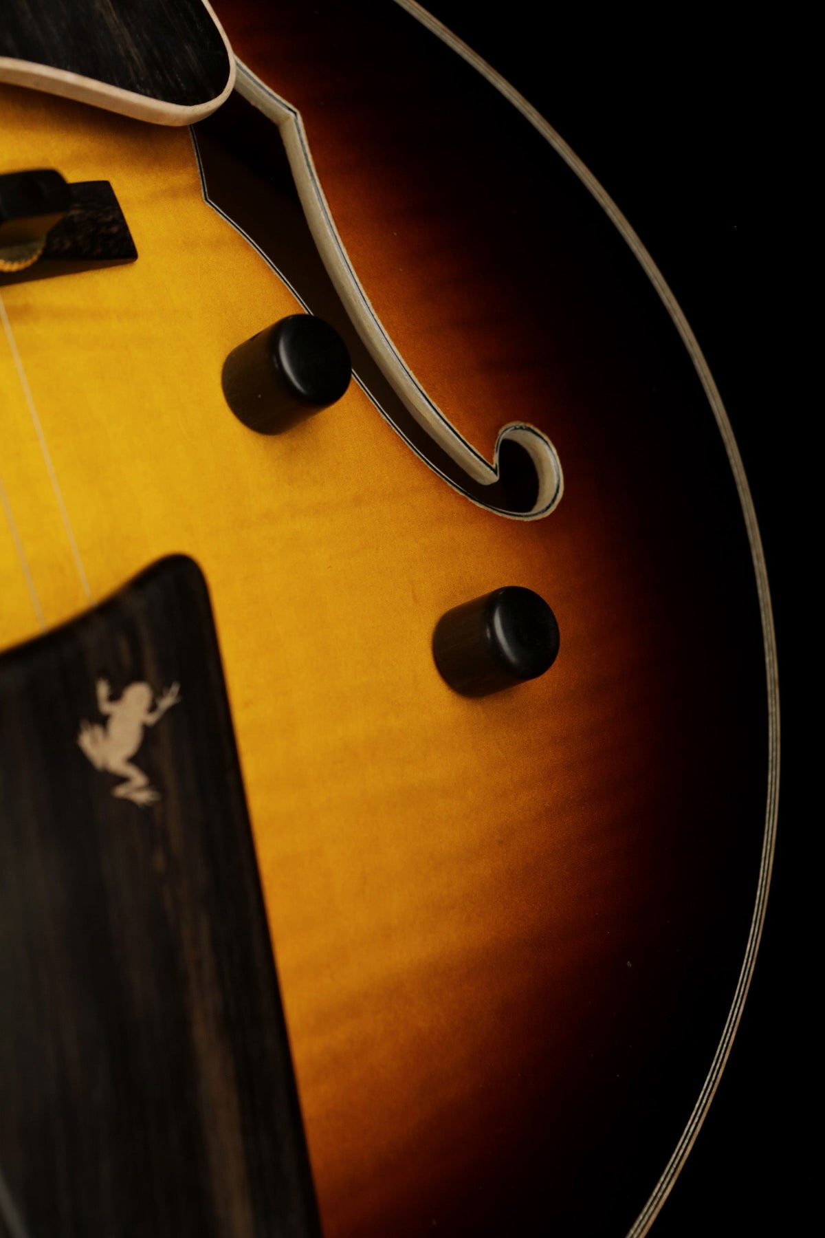 Eastman AR480ce 'Sunburst' John Pisano Signature Model Electric Guitar - Acoustic Centre Music Store, Melbourne Australia