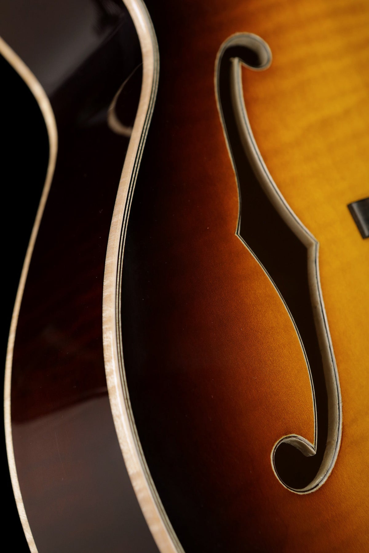 Eastman AR480ce 'Sunburst' John Pisano Signature Model Electric Guitar - Acoustic Centre Music Store, Melbourne Australia