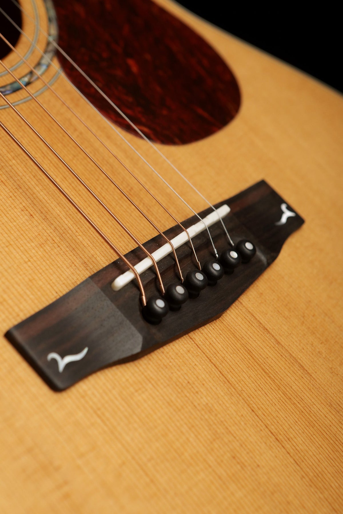 Cort Gold-O6 Acoustic Electric Guitar - Acoustic Centre Music Store, Melbourne Australia