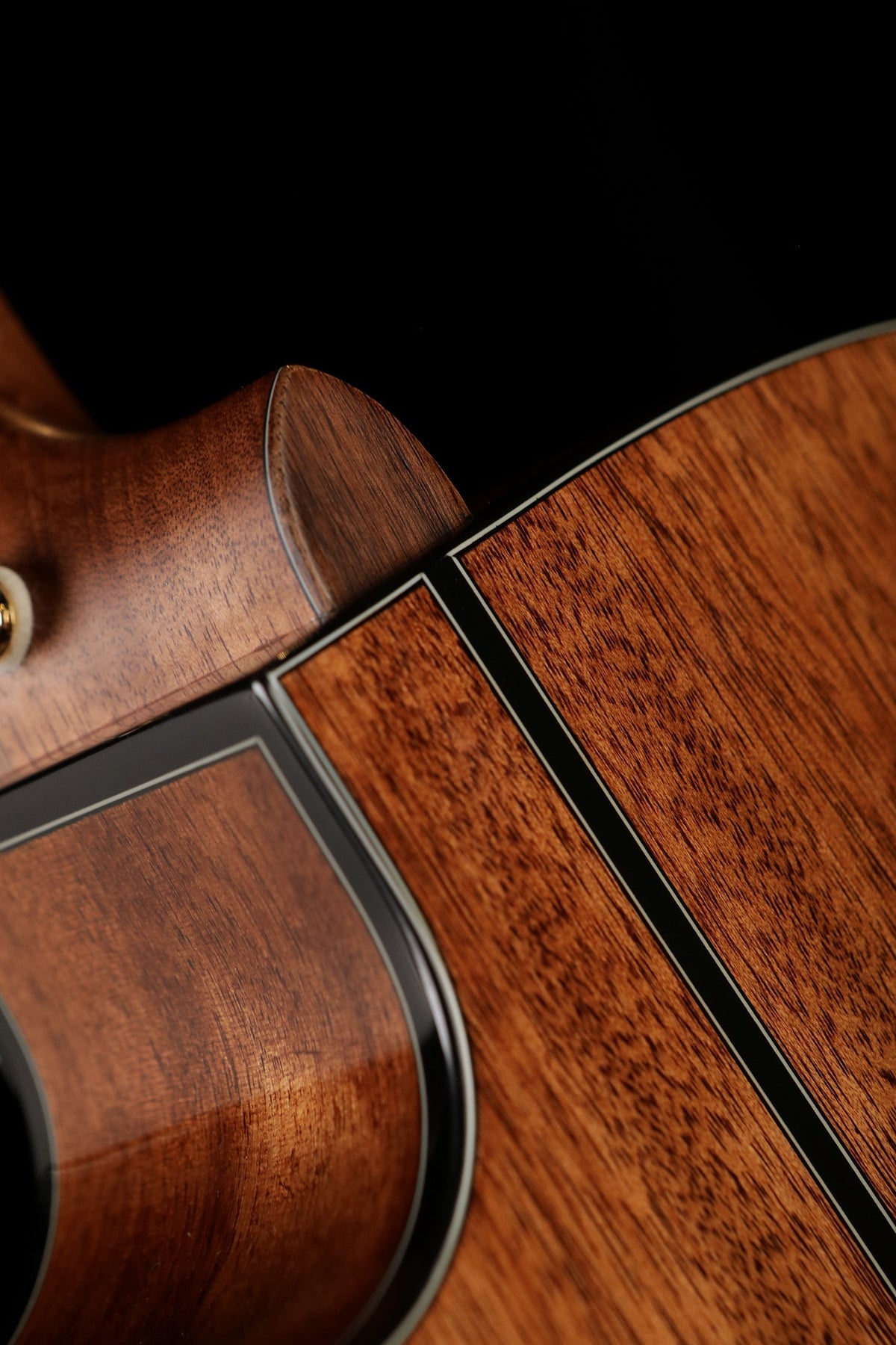 Cort Gold-O6 Acoustic Electric Guitar - Acoustic Centre Music Store, Melbourne Australia