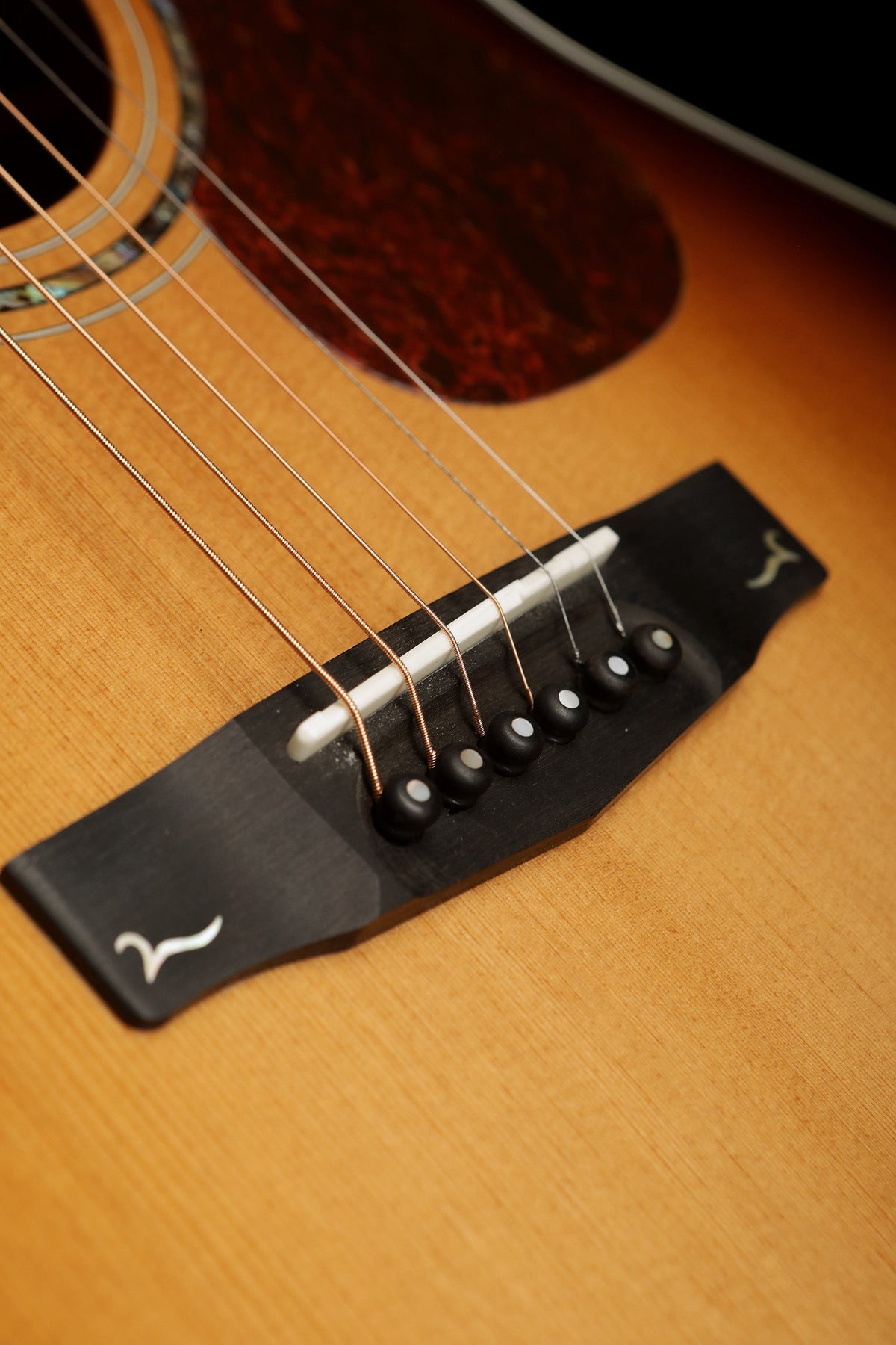 Cort Gold-A8 &#39;Light Burst&#39; Acoustic Electric Guitar - Acoustic Centre Music Store, Melbourne Australia