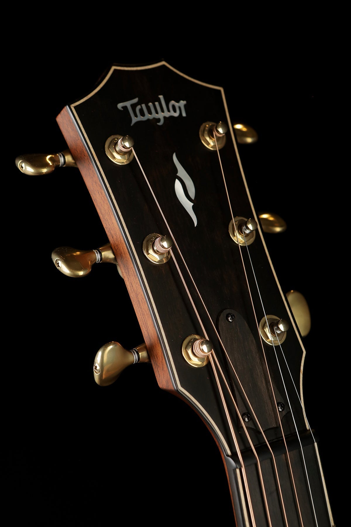 Taylor 814ce Builder&#39;s Edition Acoustic Electric Guitar - Acoustic Centre Music Store, Melbourne Australia