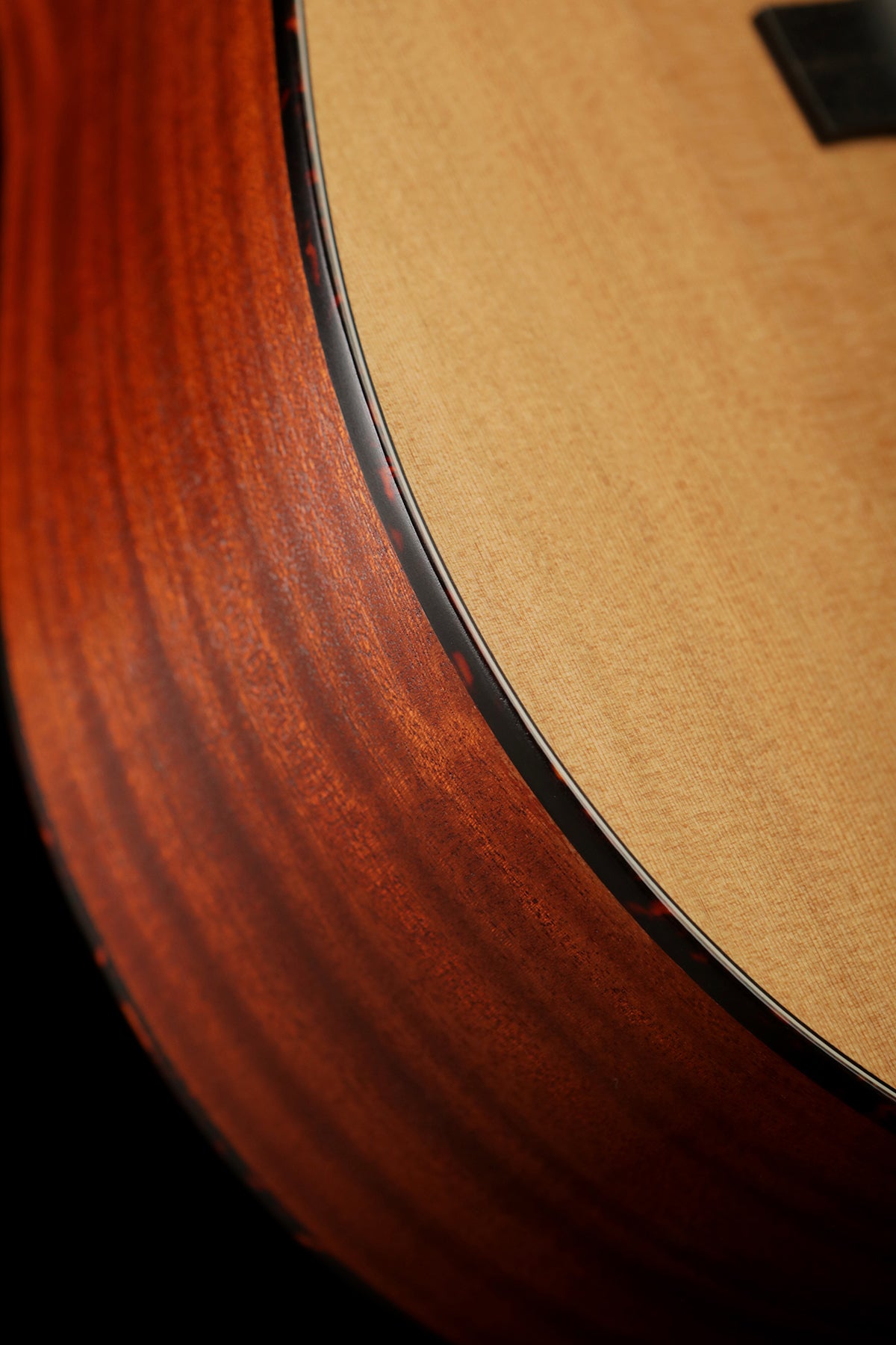Eastman E2D &#39;Cedar / Sapele&#39; Acoustic Guitar - Acoustic Centre Music Store, Melbourne Australia