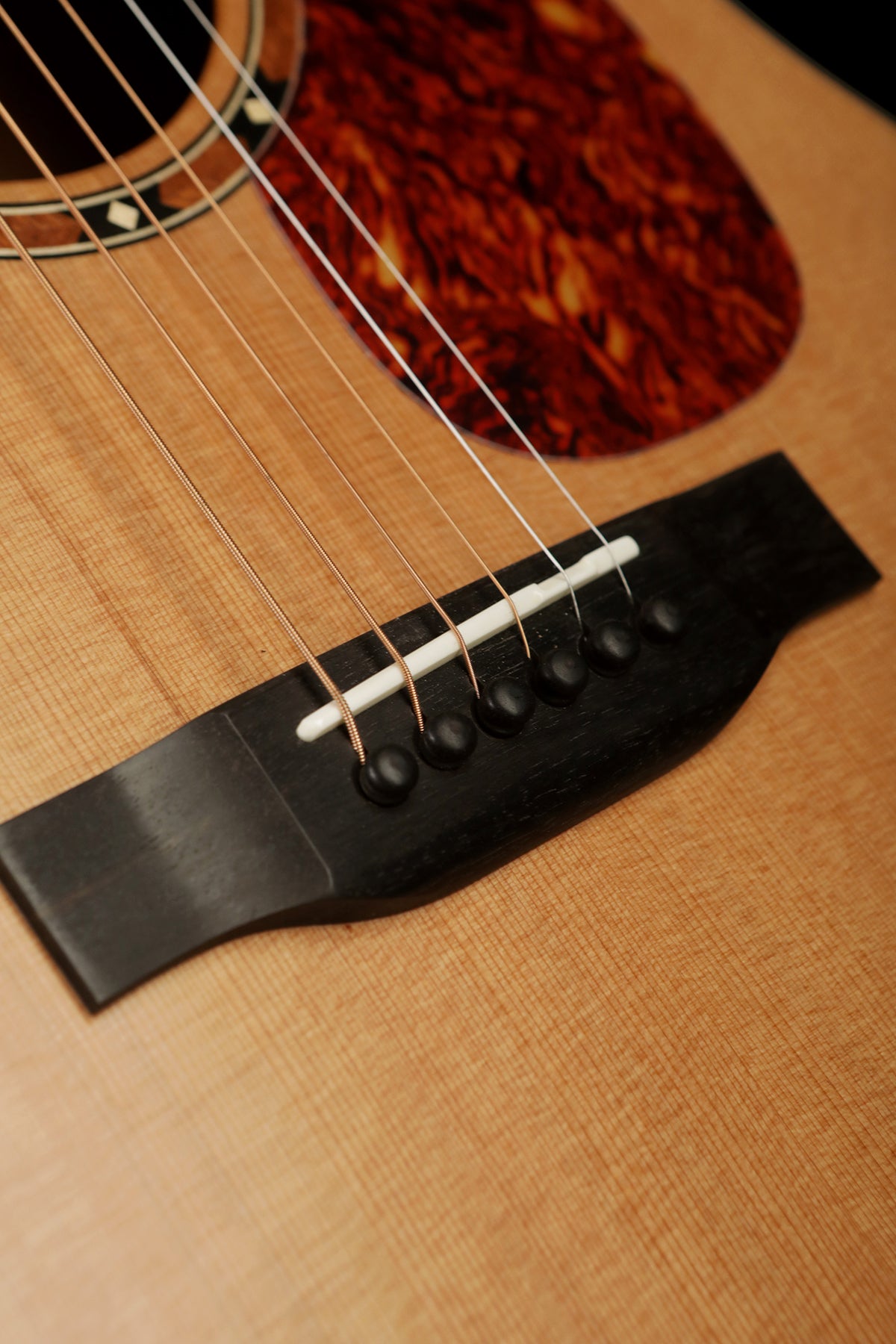 Eastman E2D &#39;Cedar / Sapele&#39; Acoustic Guitar - Acoustic Centre Music Store, Melbourne Australia