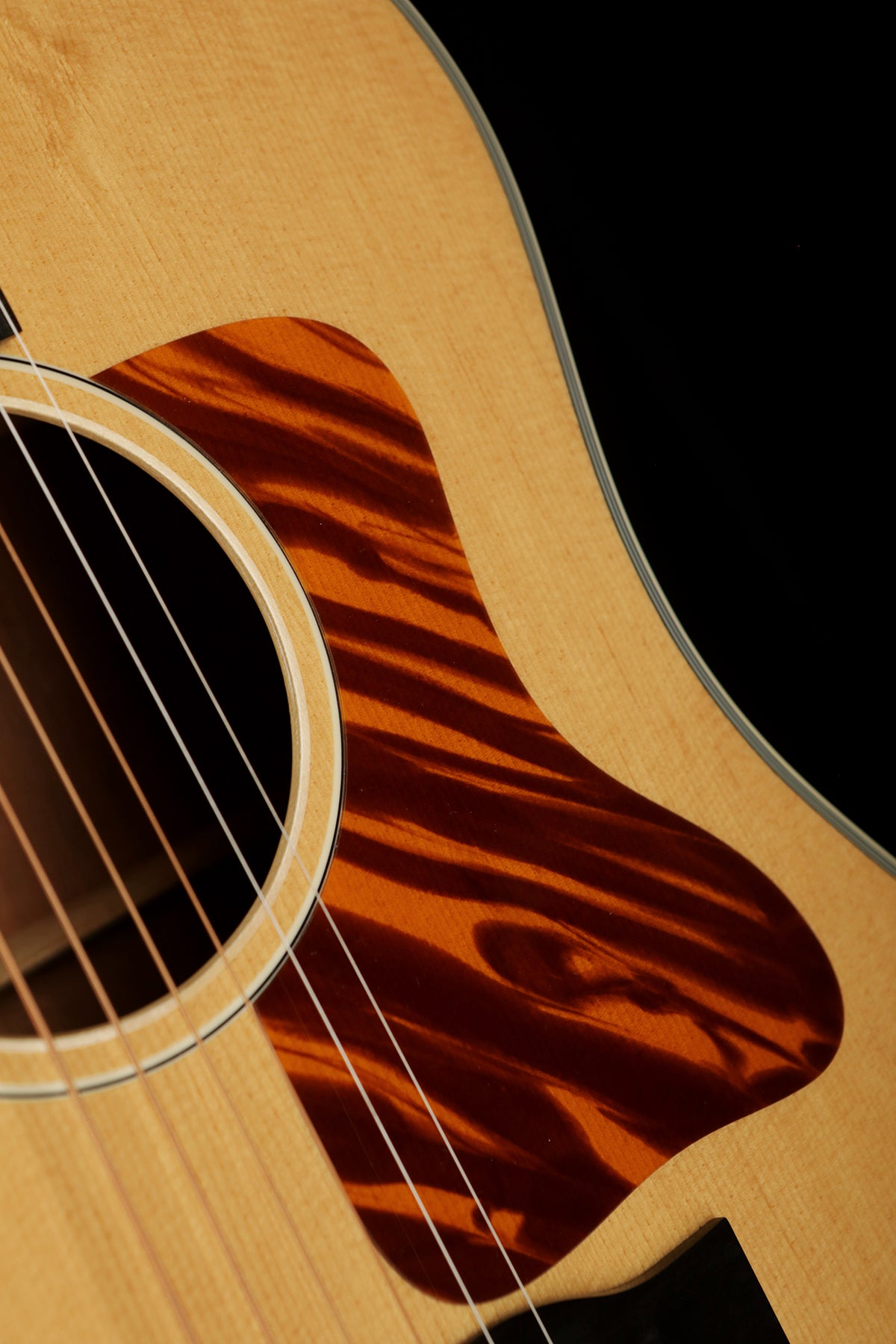 Eastman E6SS TC Acoustic Guitar - Acoustic Centre Music Store, Melbourne Australia