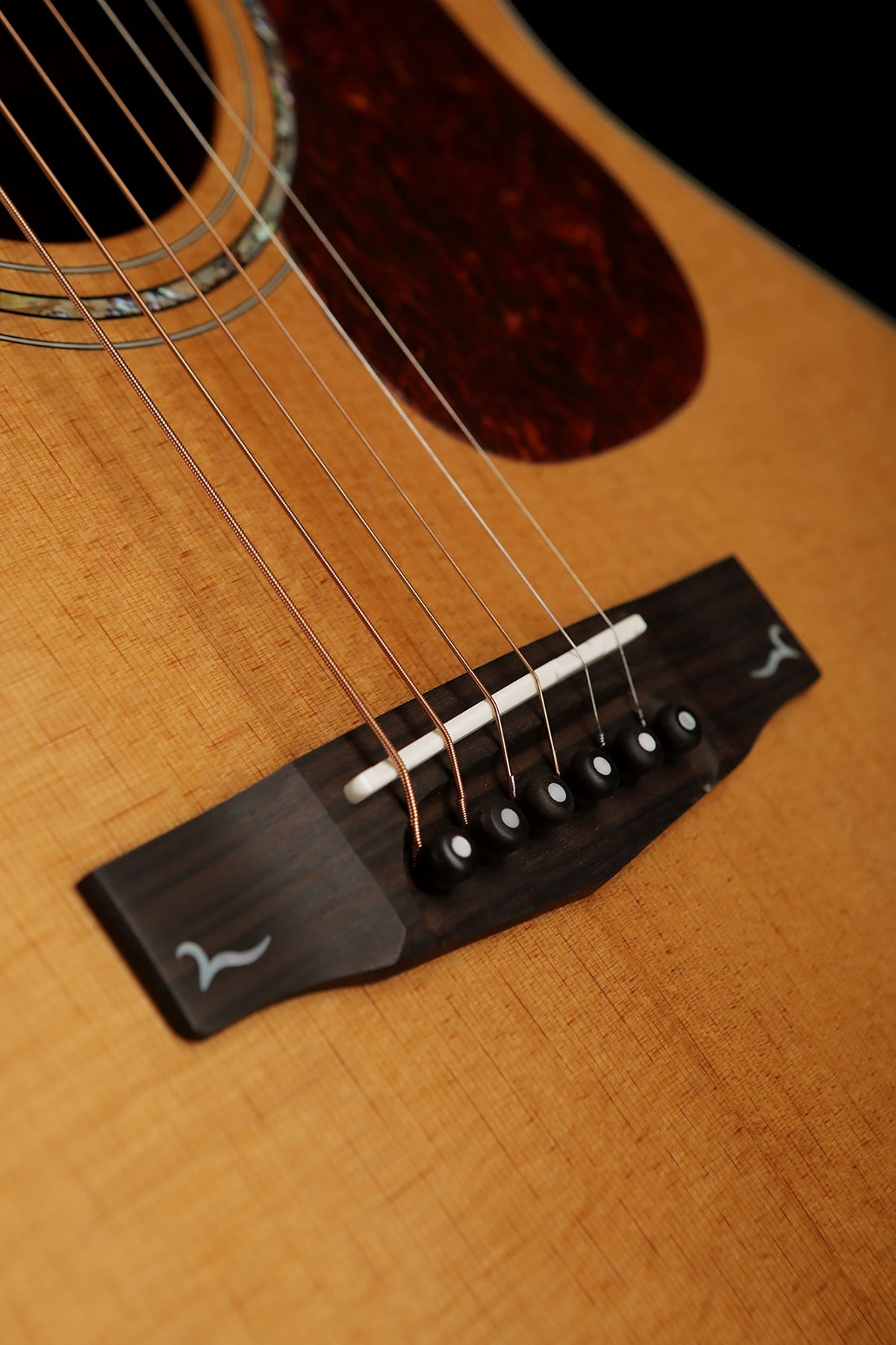 Cort Gold-A6 Bocote Acoustic Electric Guitar - Acoustic Centre Music Store, Melbourne Australia