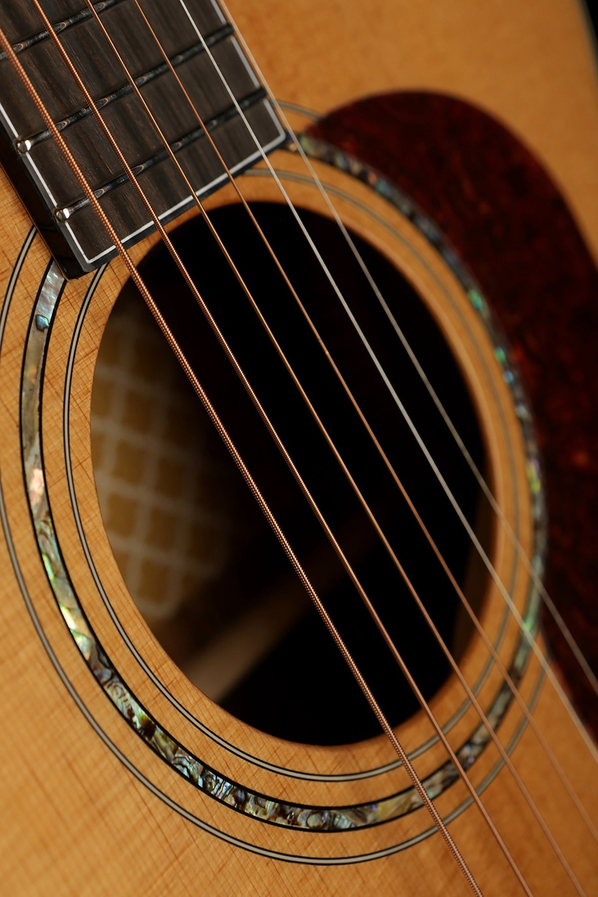 Cort Gold-A6 Bocote Acoustic Electric Guitar - Acoustic Centre Music Store, Melbourne Australia