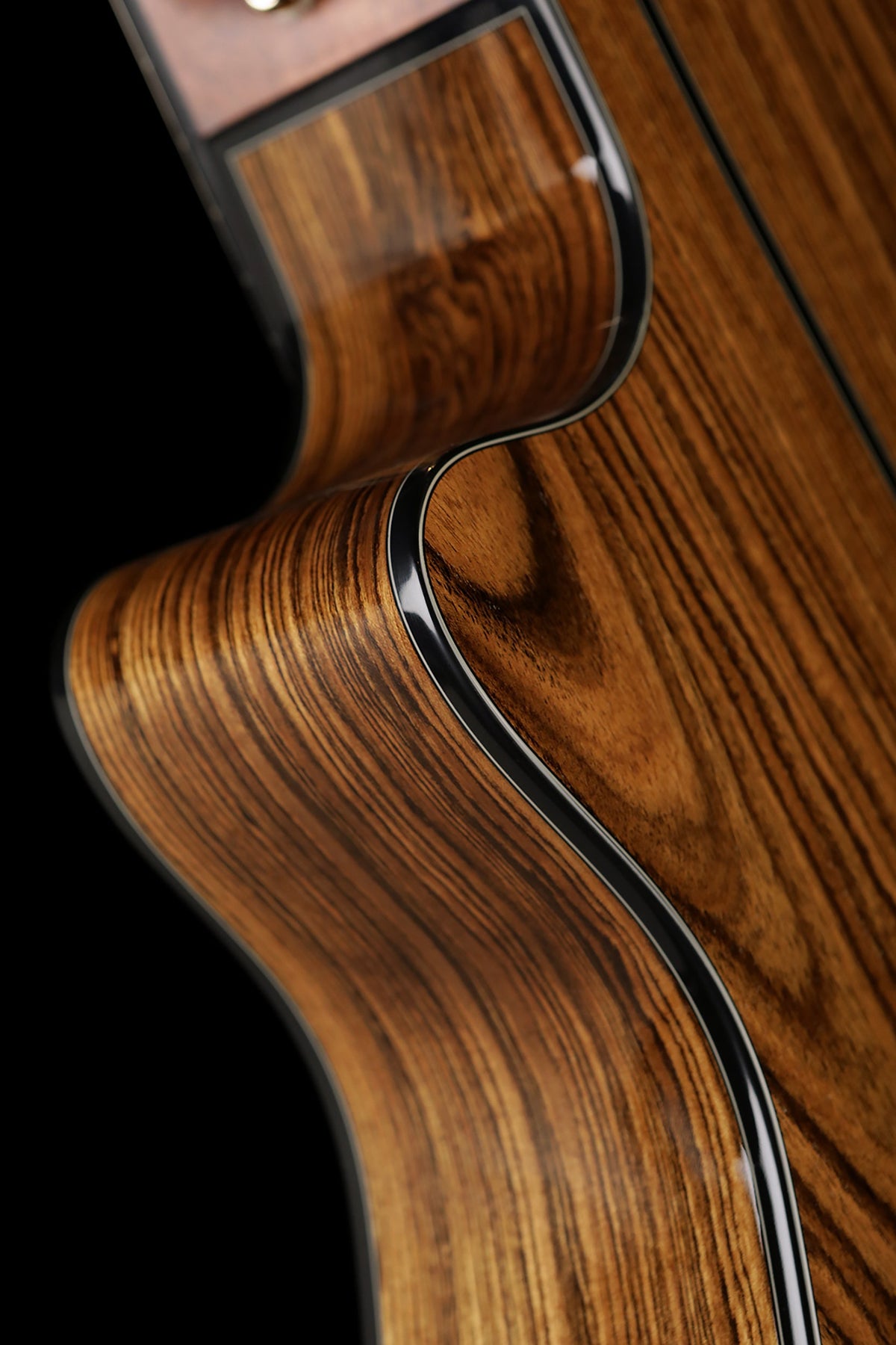 Cort Gold-A6 Bocote Acoustic Electric Guitar - Acoustic Centre Music Store, Melbourne Australia