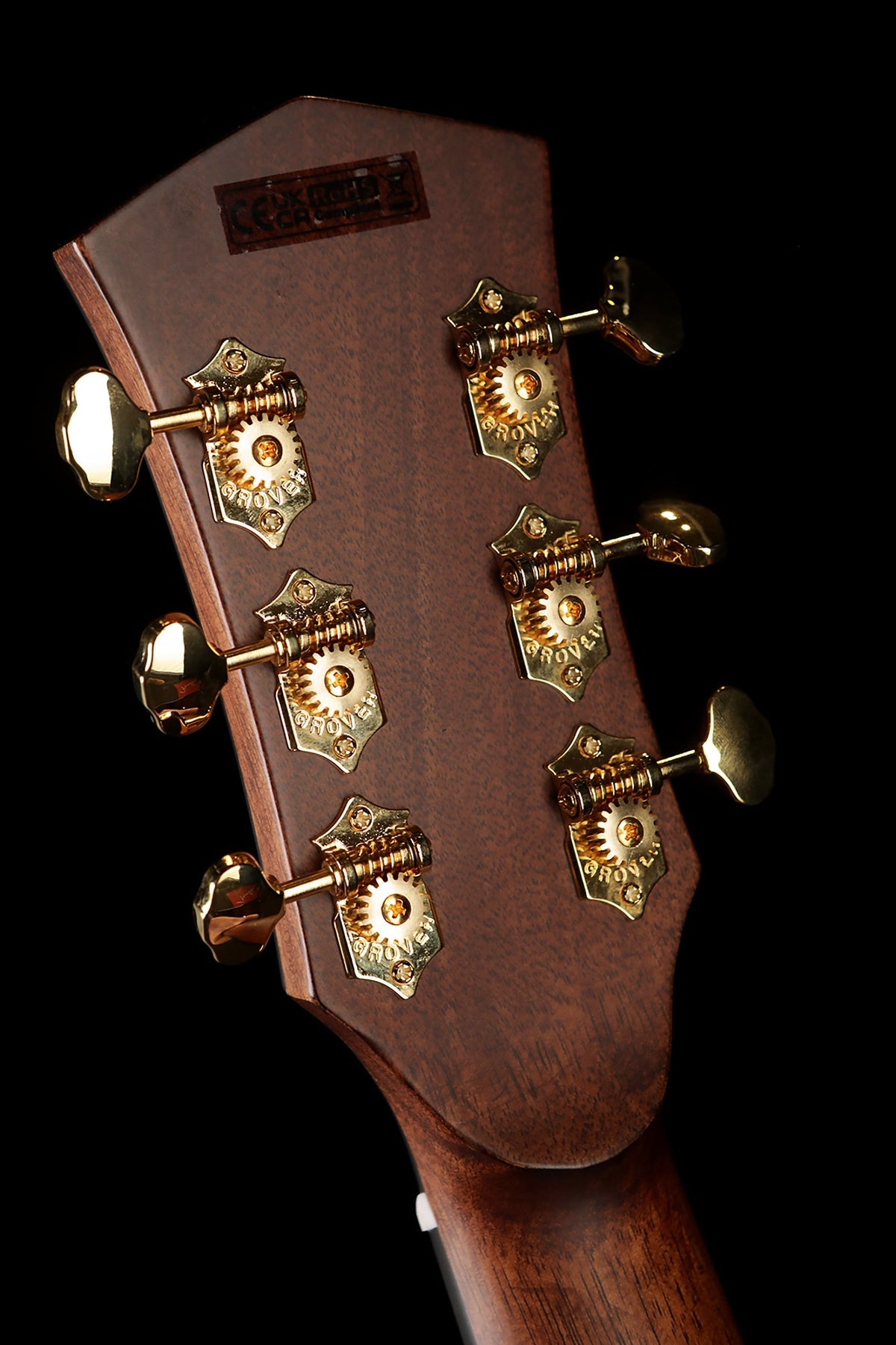 Cort Gold-A6 Bocote Acoustic Electric Guitar - Acoustic Centre Music Store, Melbourne Australia