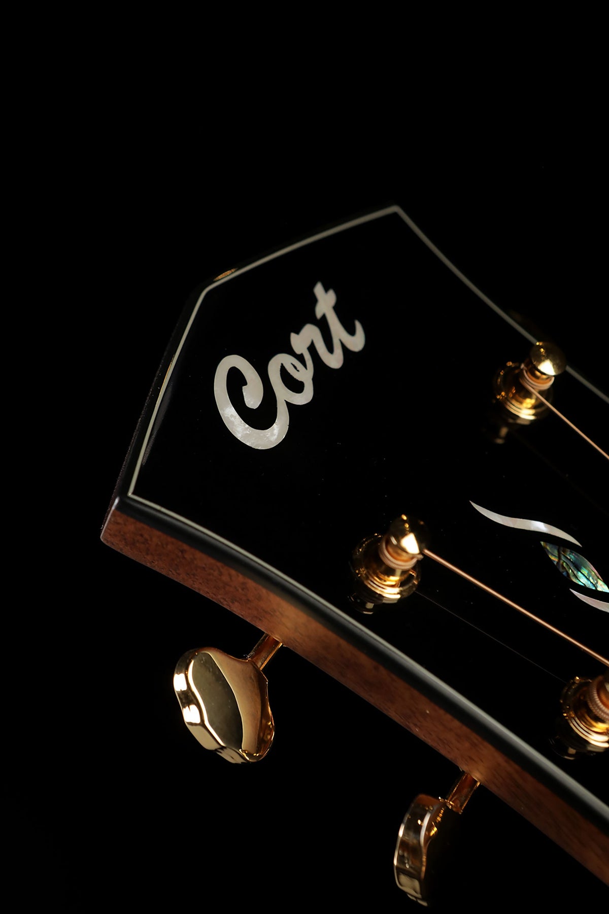 Cort Gold-A6 Bocote Acoustic Electric Guitar - Acoustic Centre Music Store, Melbourne Australia