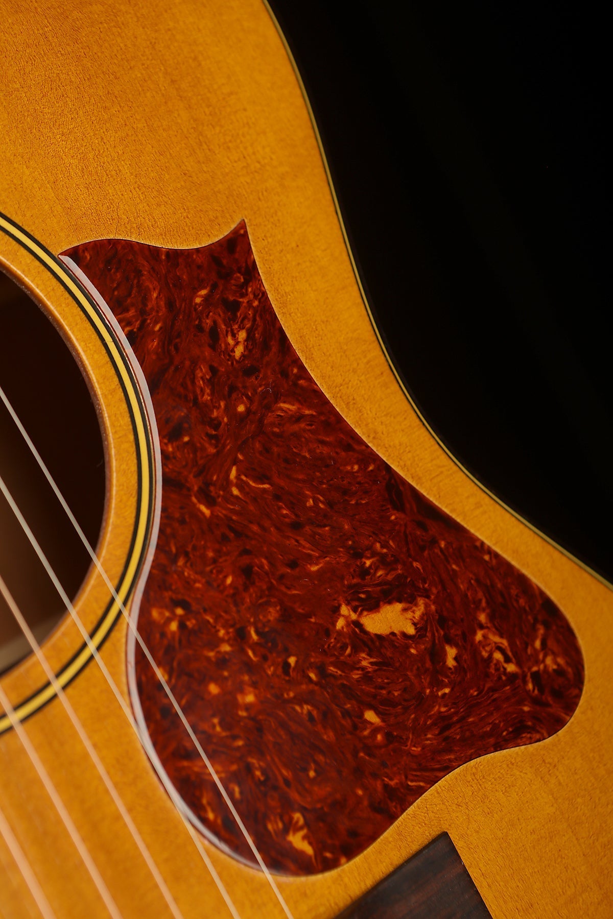 Iris OG &#39;Relic Natural&#39; Acoustic Guitar - Acoustic Centre Music Store, Melbourne Australia