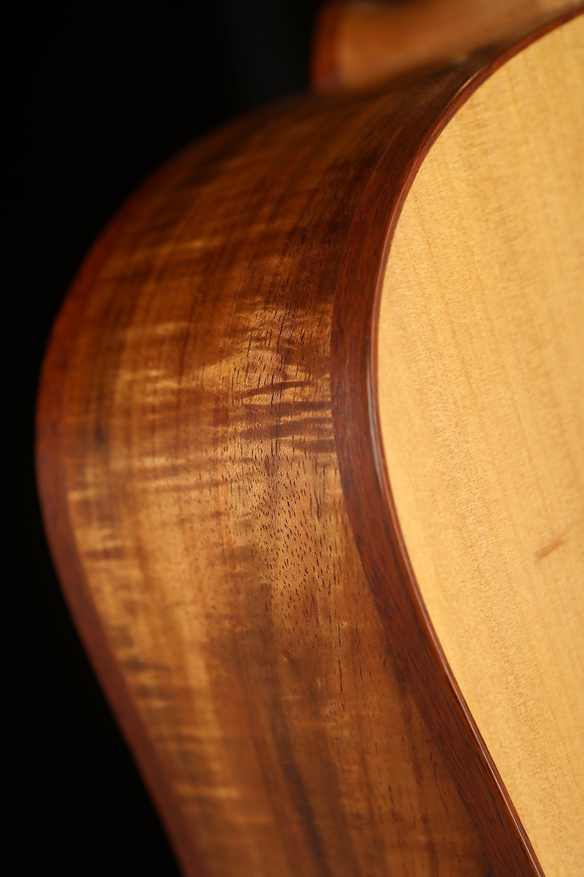 Chris Wynne Dreadnought 'Bunya Pine / Fiddleback Blackwood' Preowned 2007 - Acoustic Centre Music Store, Melbourne Australia