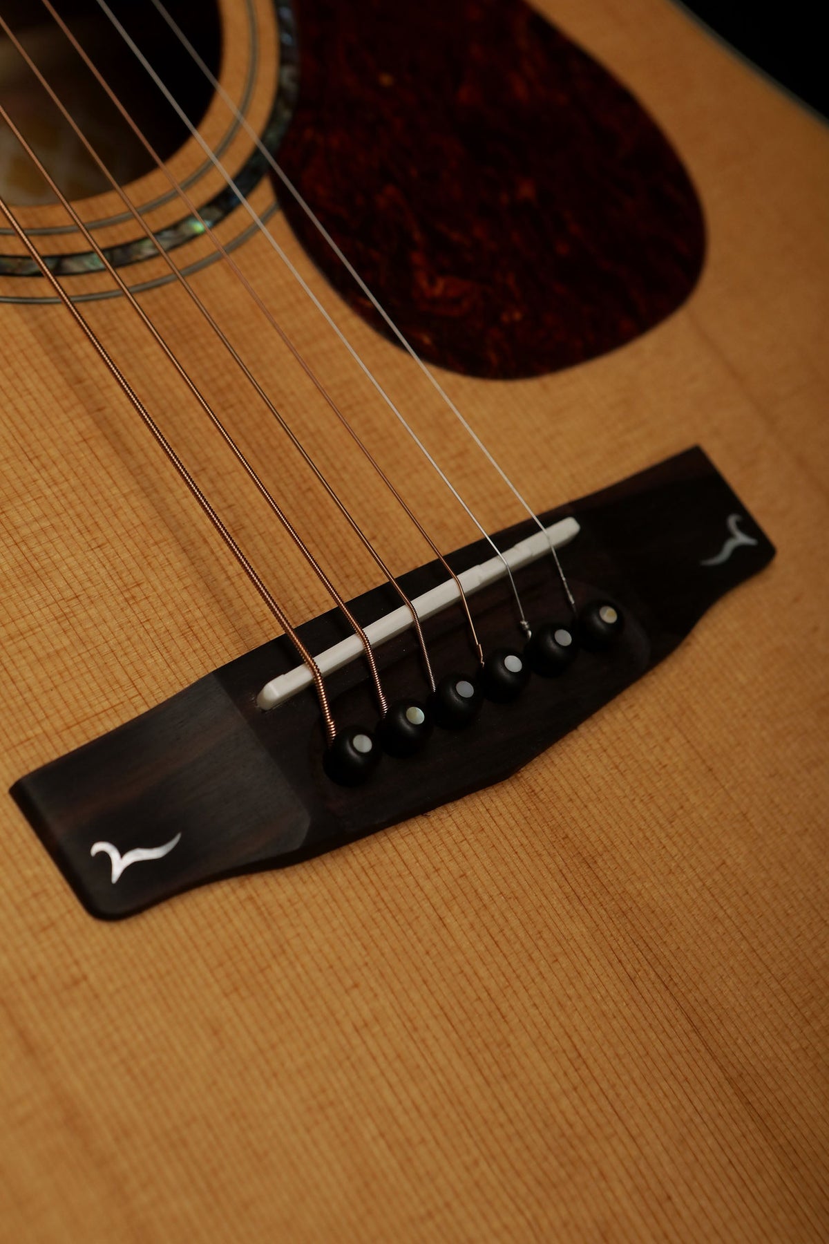 Cort DC-6E Acoustic Electric Guitar - Acoustic Centre Music Store, Melbourne Australia