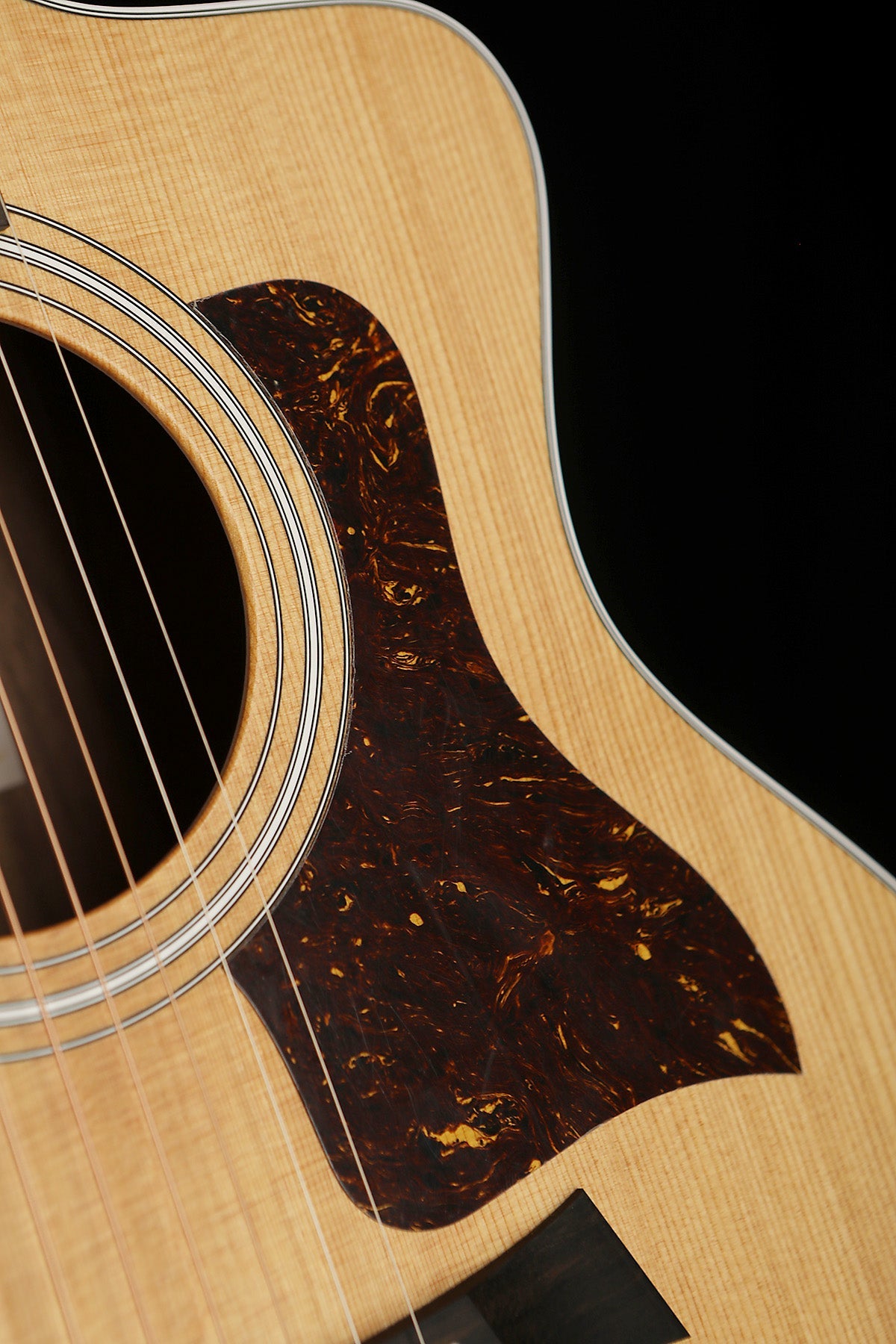 Taylor 214ce Walnut Acoustic Electric Guitar - Acoustic Centre Music Store, Melbourne Australia