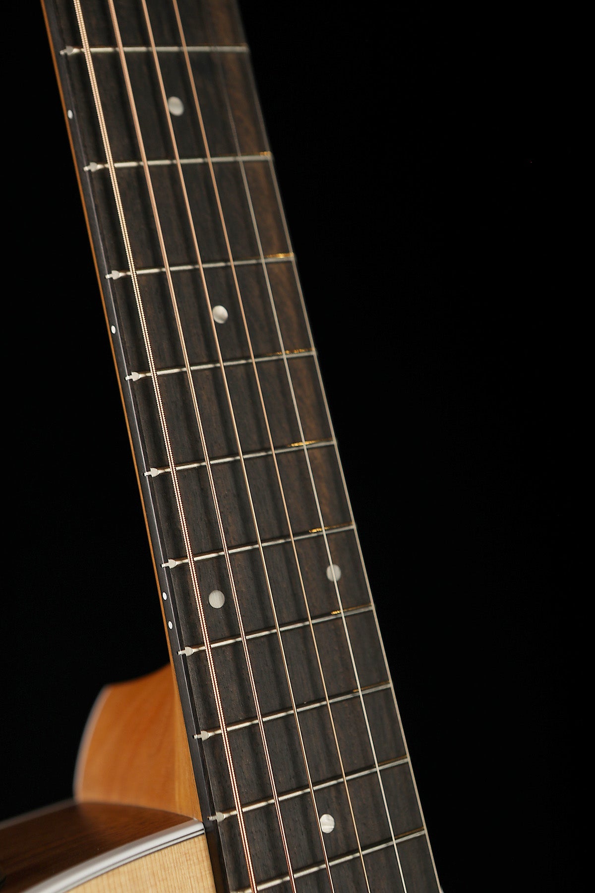 Taylor 214ce Walnut Acoustic Electric Guitar - Acoustic Centre Music Store, Melbourne Australia