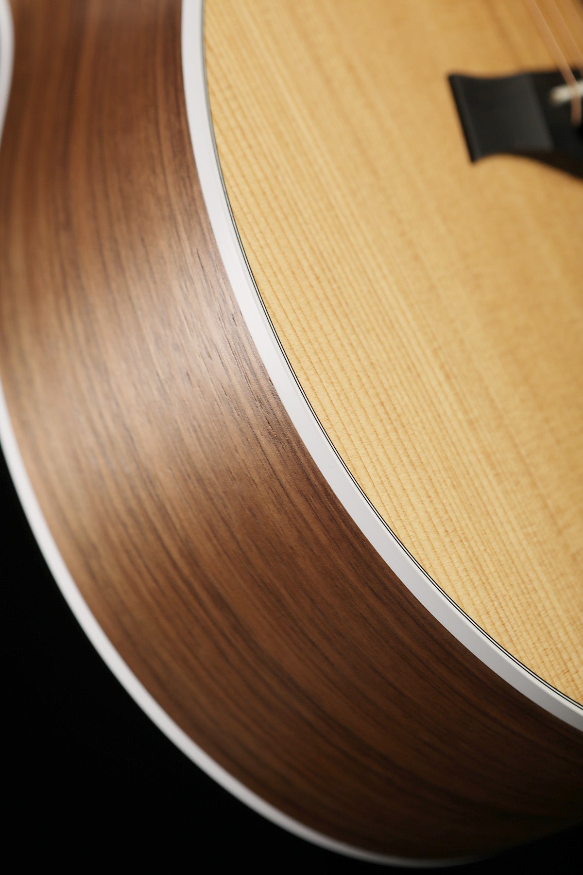 Taylor 214ce Walnut Acoustic Electric Guitar - Acoustic Centre Music Store, Melbourne Australia