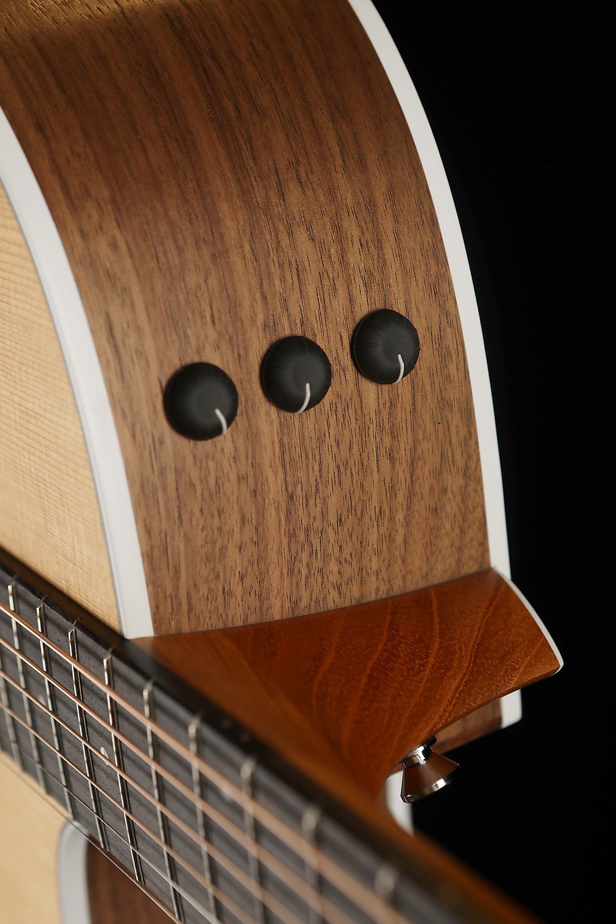 Taylor 214ce Walnut Acoustic Electric Guitar - Acoustic Centre Music Store, Melbourne Australia