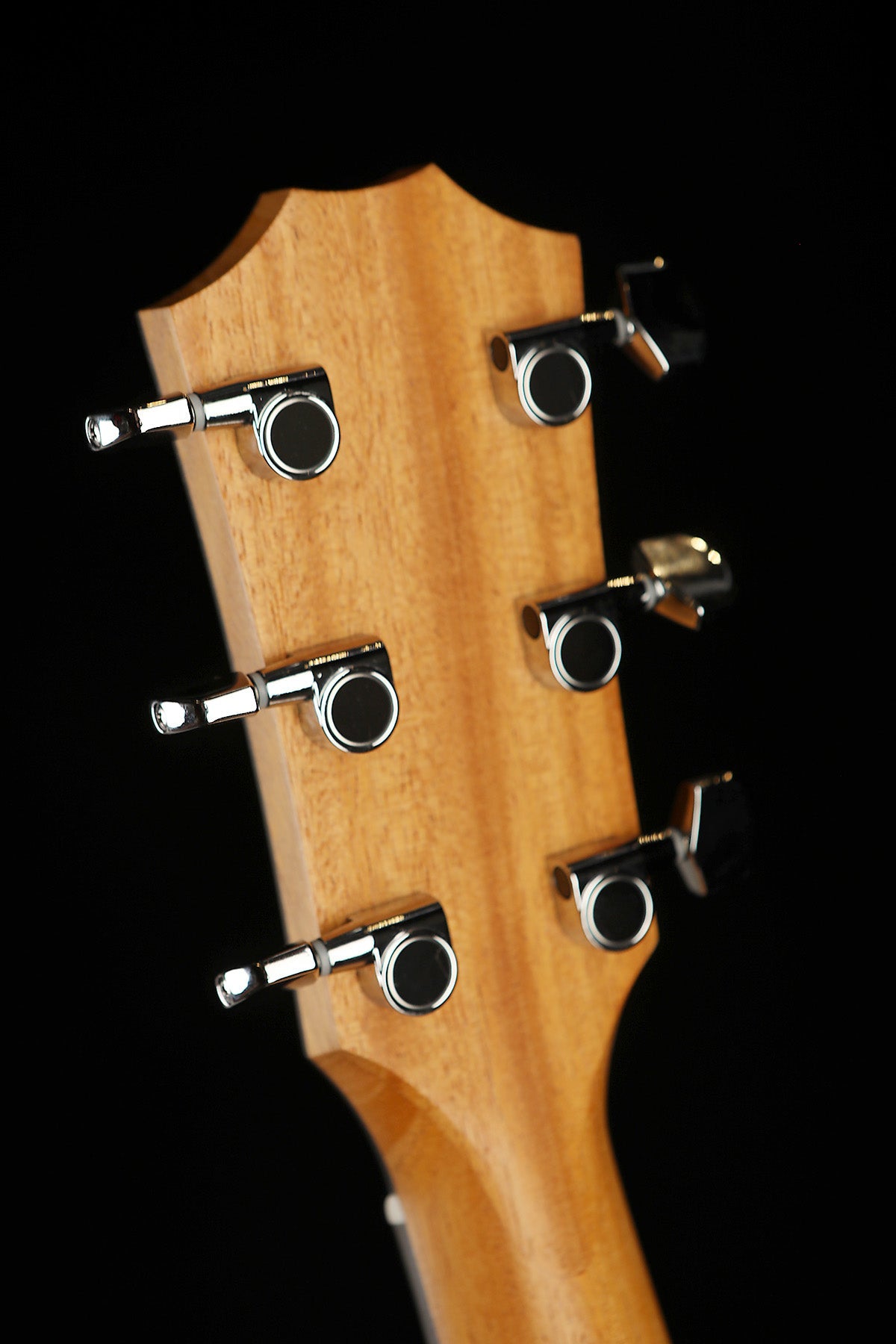 Taylor 214ce Walnut Acoustic Electric Guitar - Acoustic Centre Music Store, Melbourne Australia