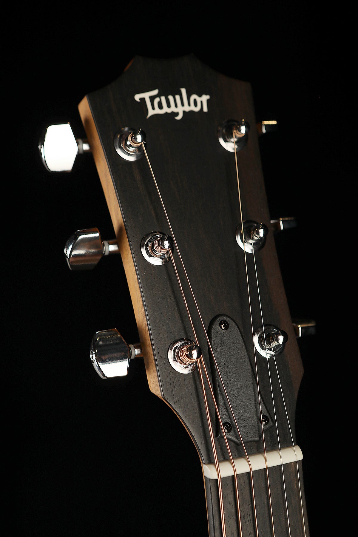 Taylor 214ce Walnut Acoustic Electric Guitar - Acoustic Centre Music Store, Melbourne Australia