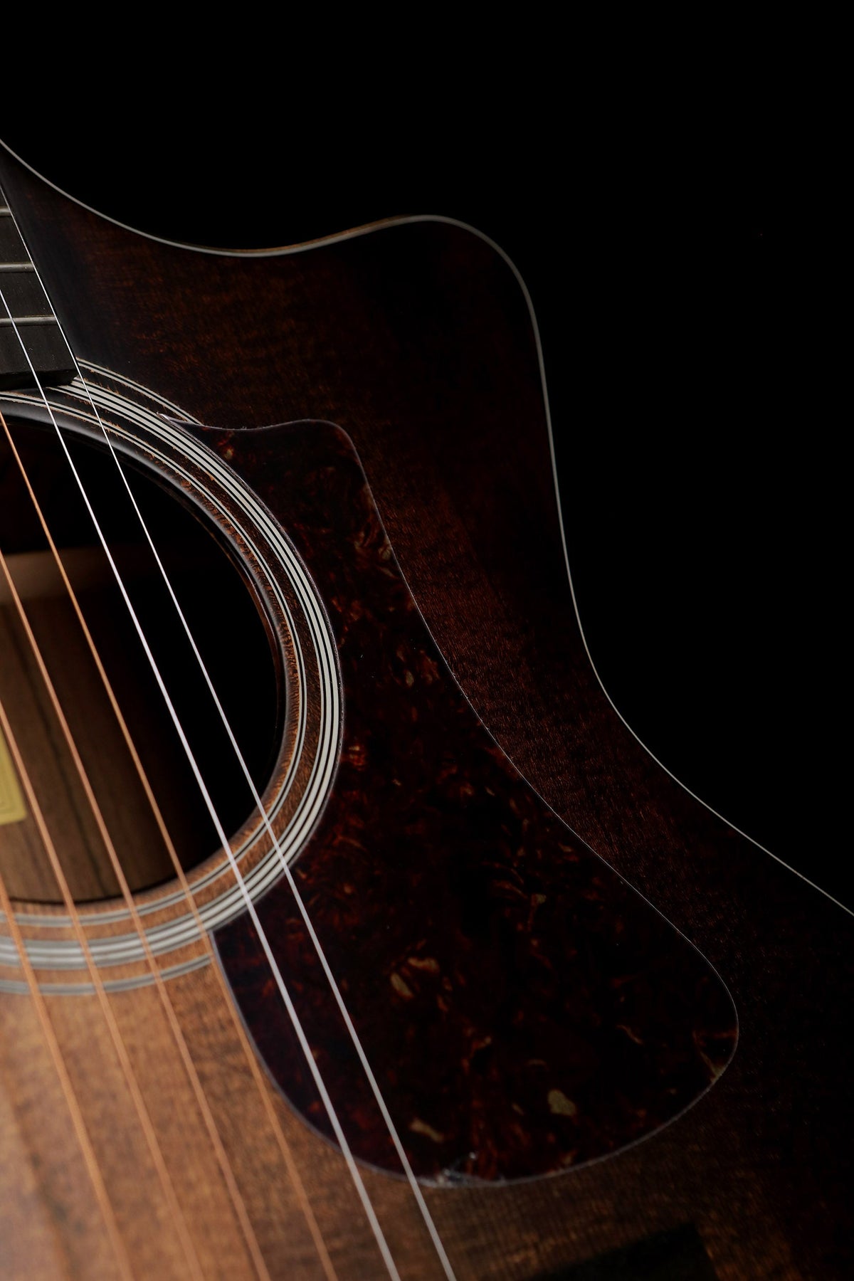 Eastman AC222CE-CLA Grand Auditorium Acoustic Electric Guitar - Acoustic Centre Music Store, Melbourne Australia