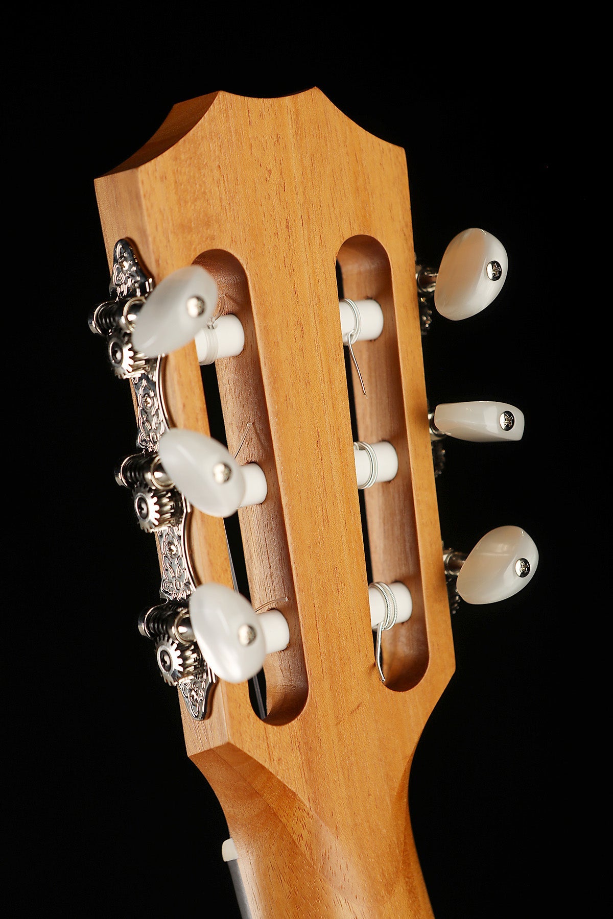 Taylor Academy A12e-N Nylon Electric Guitar - Acoustic Centre Music Store, Melbourne Australia