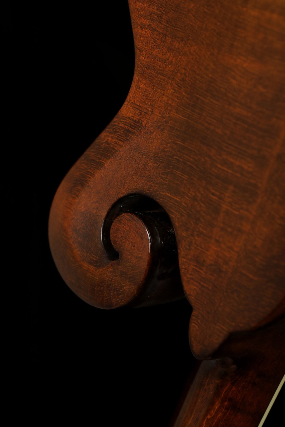 Eastman MD514 Oval-Hole F-Style Mandolin - Acoustic Centre Music Store, Melbourne Australia