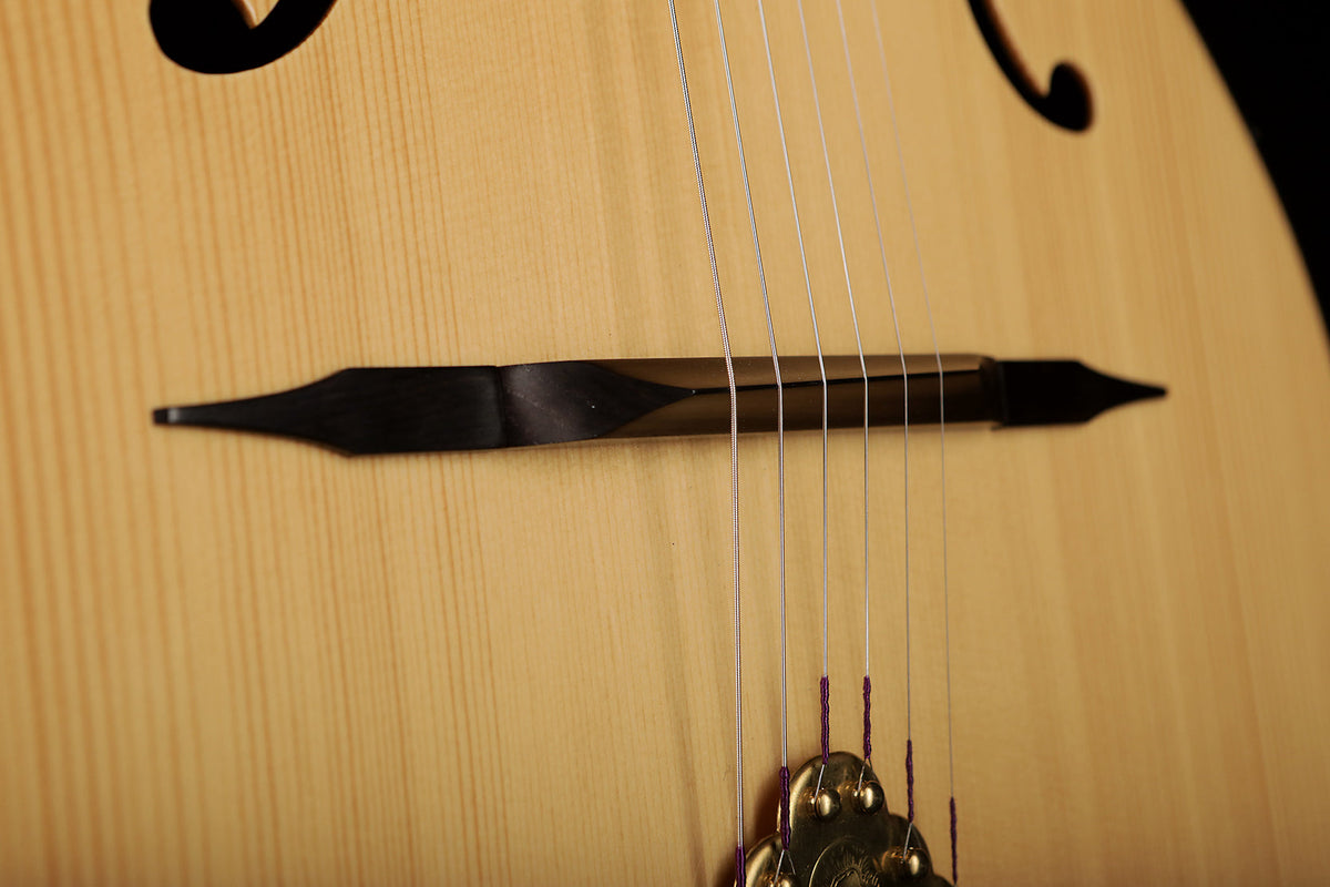 Altamira M01F F-Hole Gypsy Jazz Acoustic Guitar - Acoustic Centre Music Store, Melbourne Australia