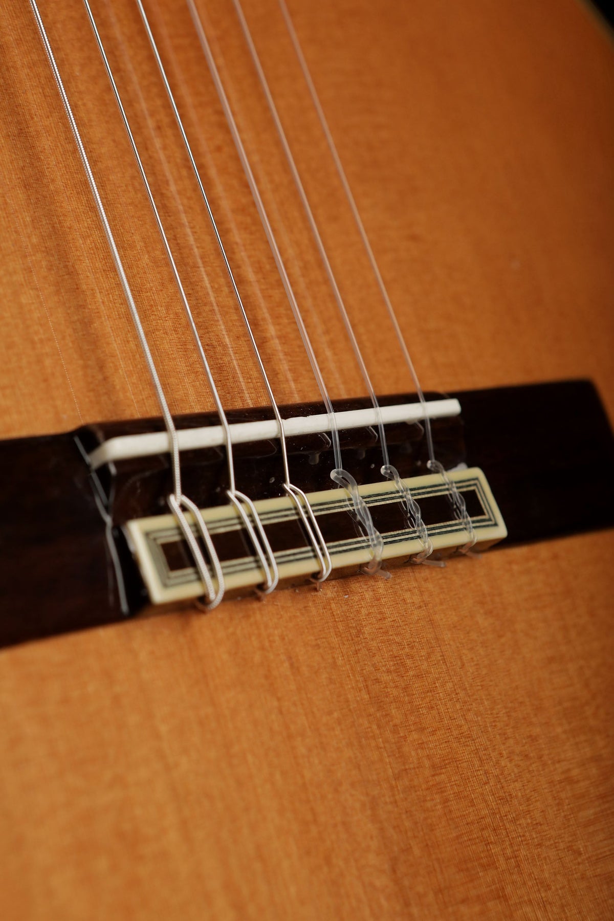 Esteve 7C/B &#39;Cedar / Cocobolo&#39; Classical Guitar - Acoustic Centre Music Store, Melbourne Australia