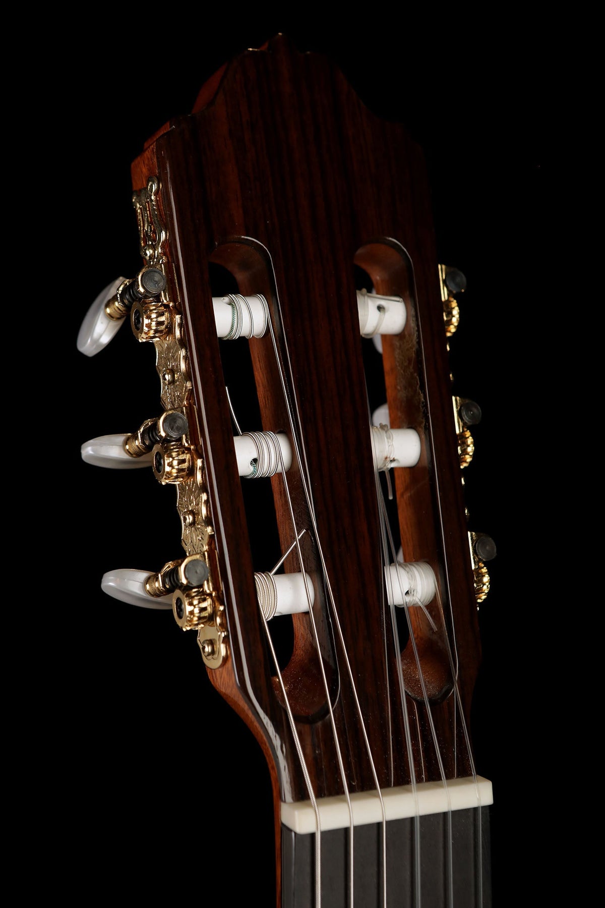 Esteve 7C/B &#39;Cedar / Cocobolo&#39; Classical Guitar - Acoustic Centre Music Store, Melbourne Australia