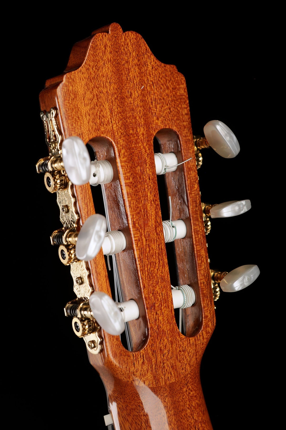 Esteve 7C/B &#39;Cedar / Cocobolo&#39; Classical Guitar - Acoustic Centre Music Store, Melbourne Australia