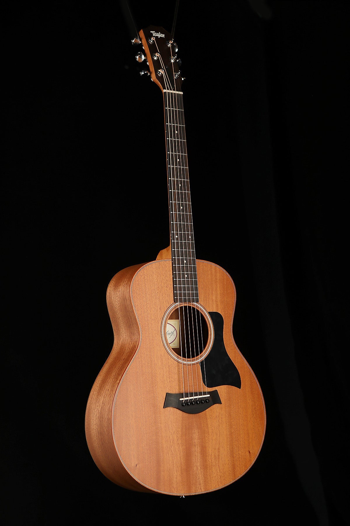 6-String Acoustic Guitars