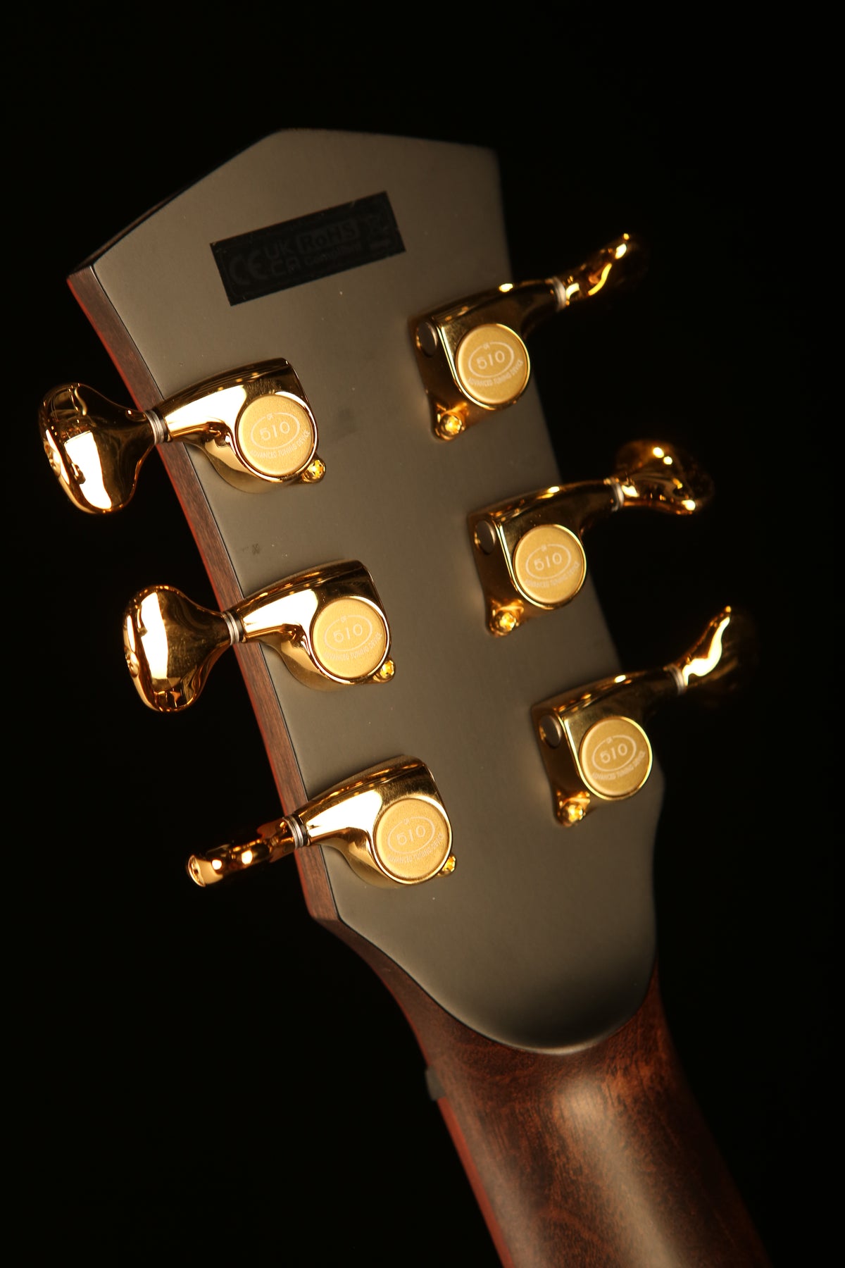 Cort Masterpiece Series Abstract Delta Limited Acoustic Electric Guitar - Acoustic Centre Music Store, Melbourne Australia