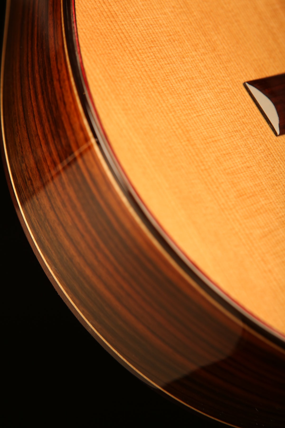 Altamira N300CT Thinline Classical Electric Guitar - Acoustic Centre Music Store, Melbourne Australia