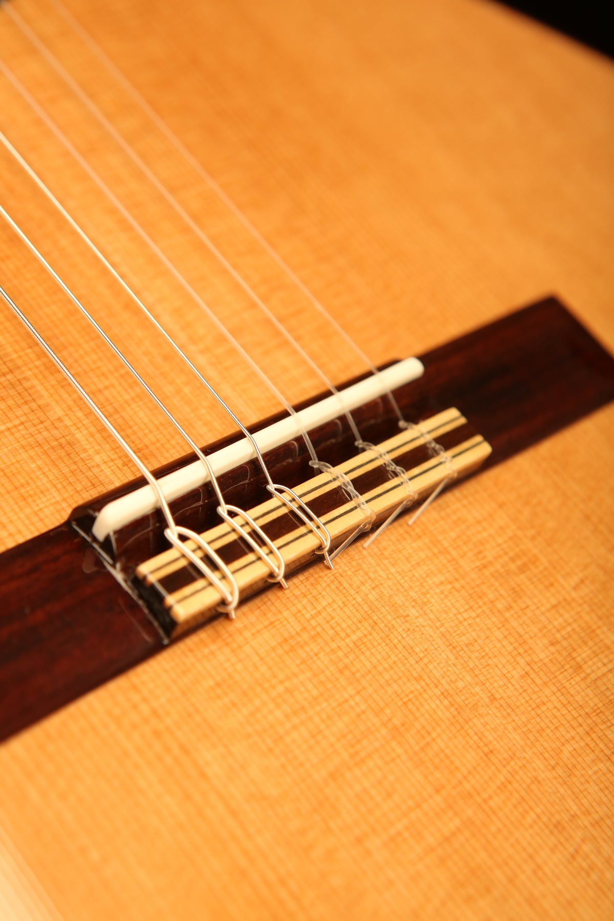 Altamira N300CT Thinline Classical Electric Guitar - Acoustic Centre Music Store, Melbourne Australia