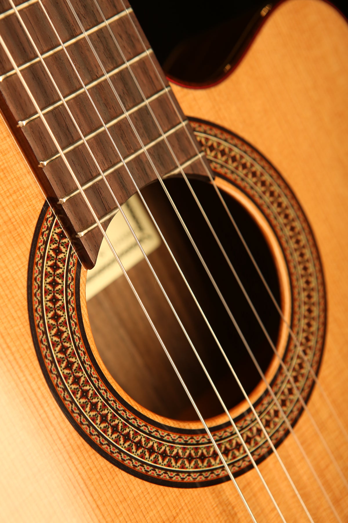 Altamira N300CT Thinline Classical Electric Guitar - Acoustic Centre Music Store, Melbourne Australia