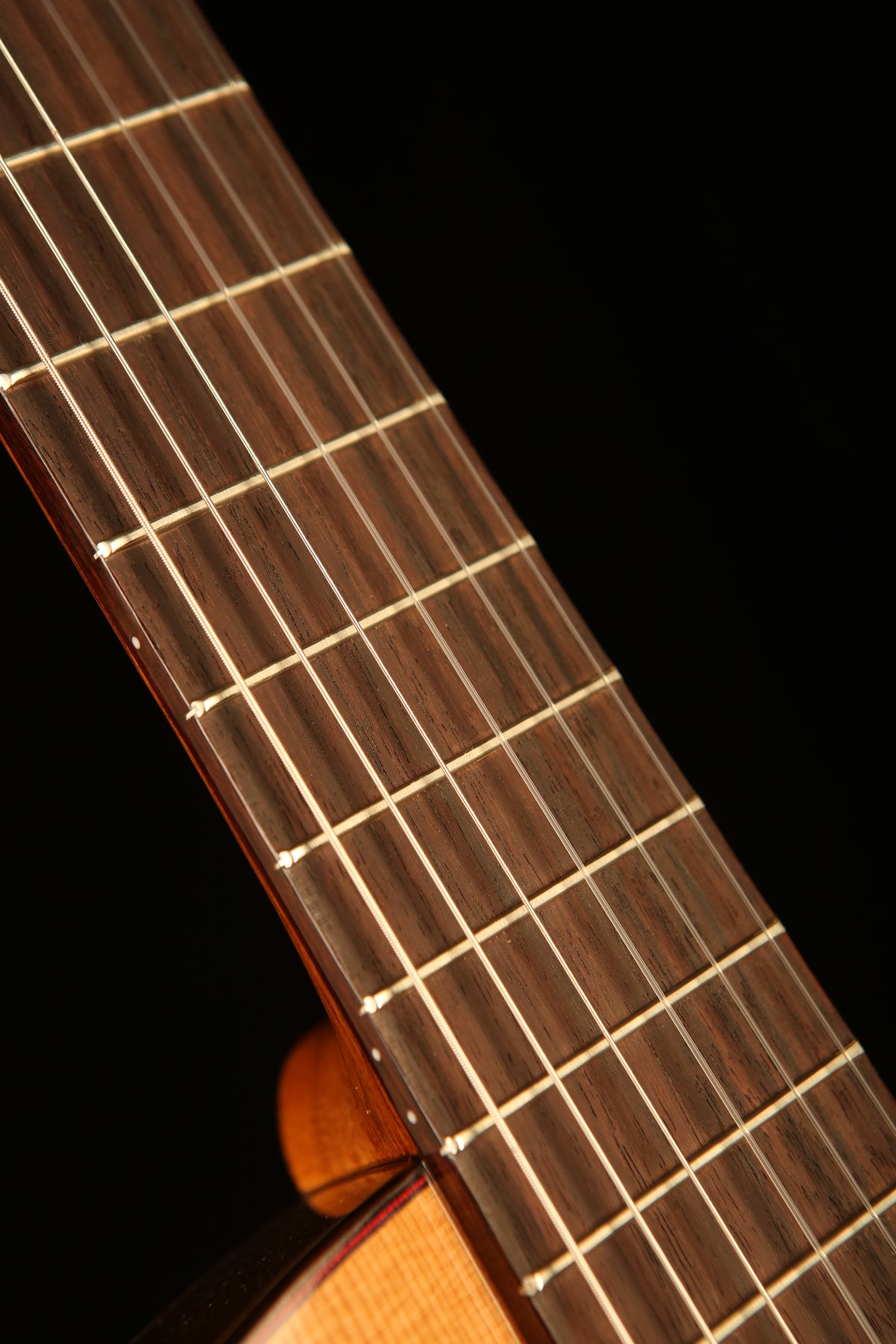 Altamira N300CT Thinline Classical Electric Guitar - Acoustic Centre Music Store, Melbourne Australia
