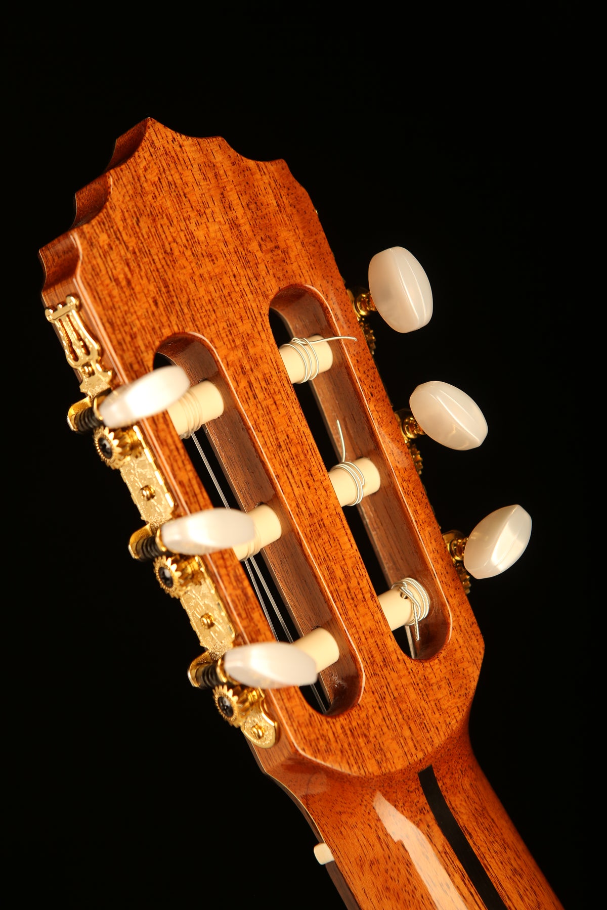 Altamira N300CT Thinline Classical Electric Guitar - Acoustic Centre Music Store, Melbourne Australia