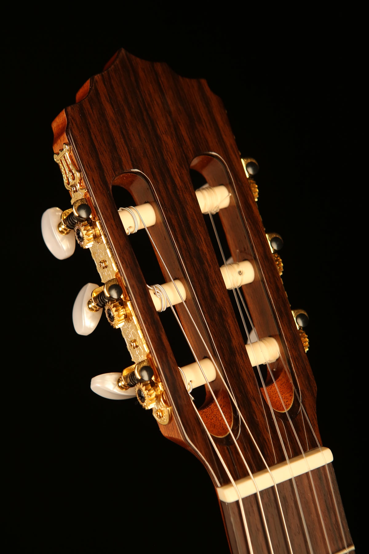 Altamira N300CT Thinline Classical Electric Guitar - Acoustic Centre Music Store, Melbourne Australia