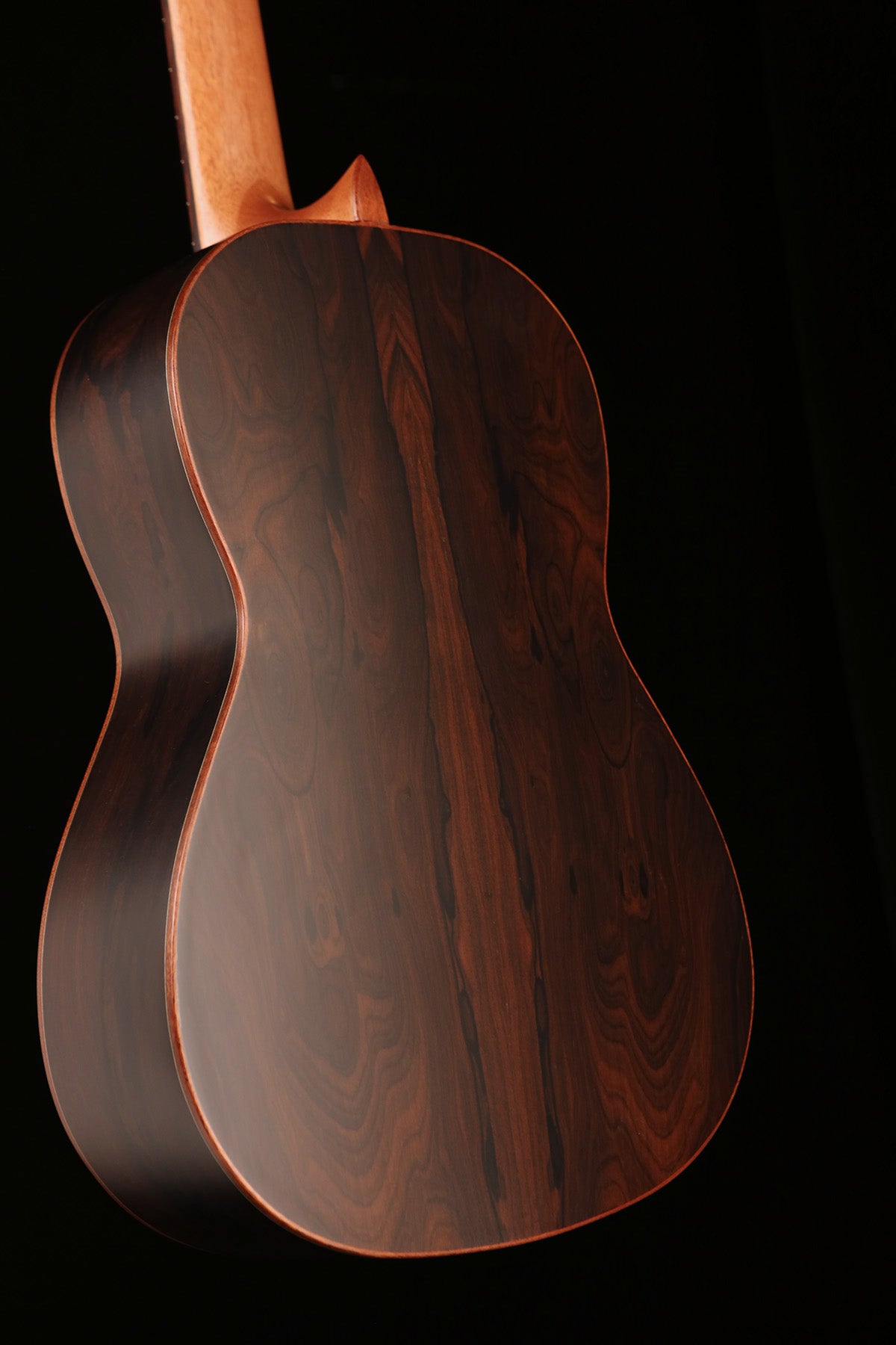 Esteve 3ZCD 'Cedar / Ziricote' Classical Guitar - Acoustic Centre Music Store, Melbourne Australia
