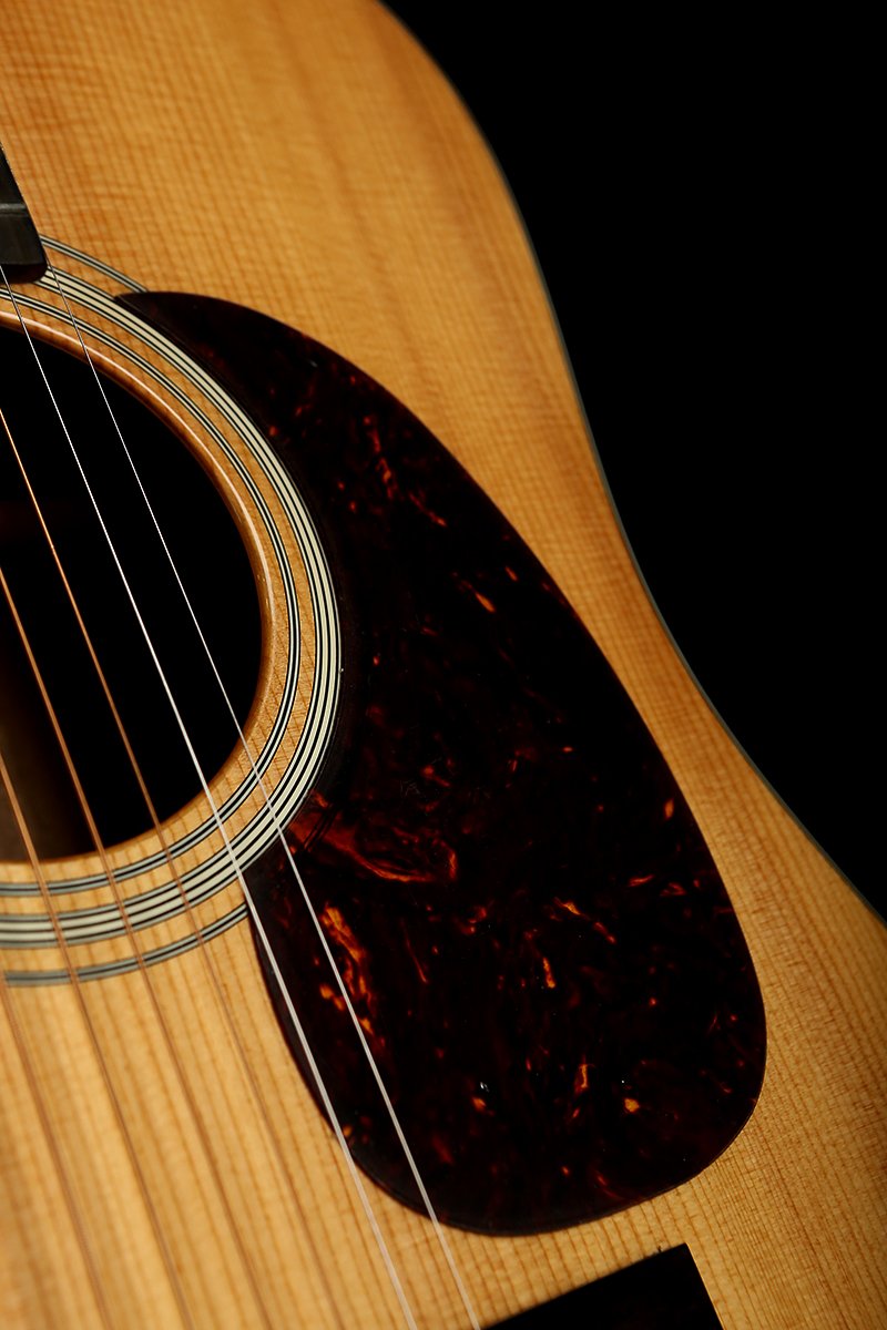 Eastman E10D-TC Acoustic Guitar - Acoustic Centre Music Store, Melbourne Australia