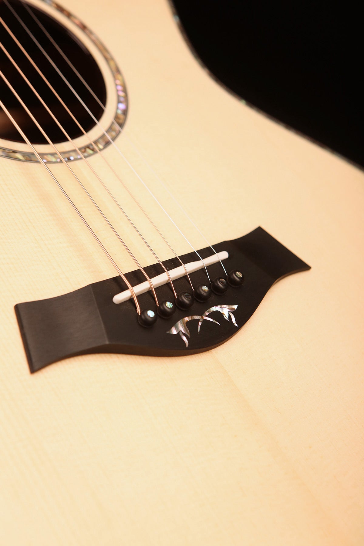 Taylor Legacy Collection 914ce Acoustic Electric Guitar - Acoustic Centre Music Store, Melbourne Australia